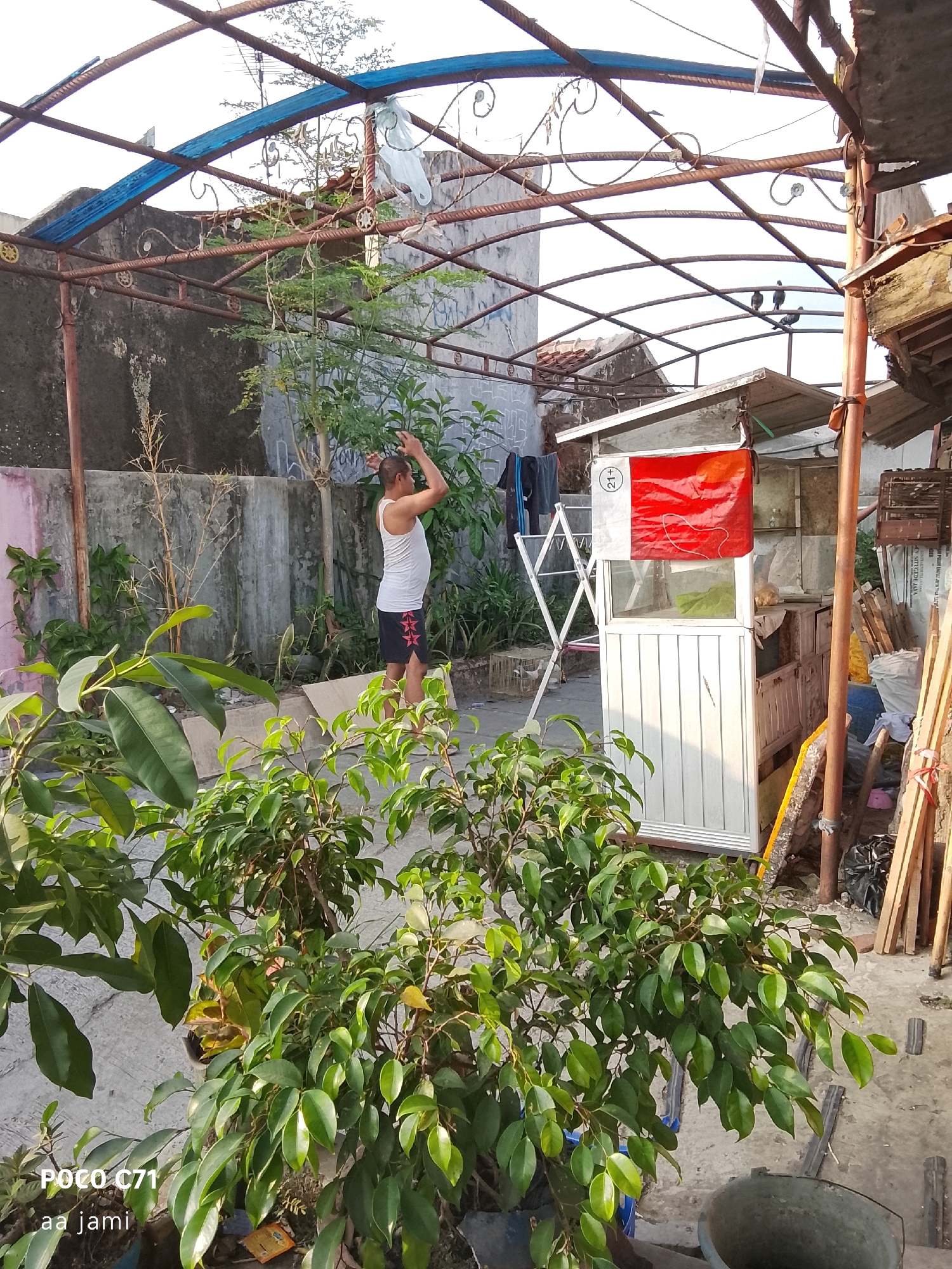 The image depicts an outdoor scene, likely a backyard or courtyard, in Tasikmalaya, Indonesia. In the foreground, lush green foliage from a potted plant dominates the lower portion of the frame. Behind the plant, a man in a white tank top and dark shorts is standing and appears to be stretching or exercising, with his arms raised. He is positioned near a concrete wall. To the right of the man is a small, white food kiosk or stall with a red flag hanging from it, bearing a circular emblem with the text "21+". Clothes are hung on a drying rack to the left of the kiosk. The background features a weathered metal structure, possibly a canopy or roof support, with some rust evident. Several pigeons are perched on the metal structure. In the far right of the image, a pile of wooden planks and other miscellaneous items are visible. The overall environment suggests a humble, urban residential or commercial setting.