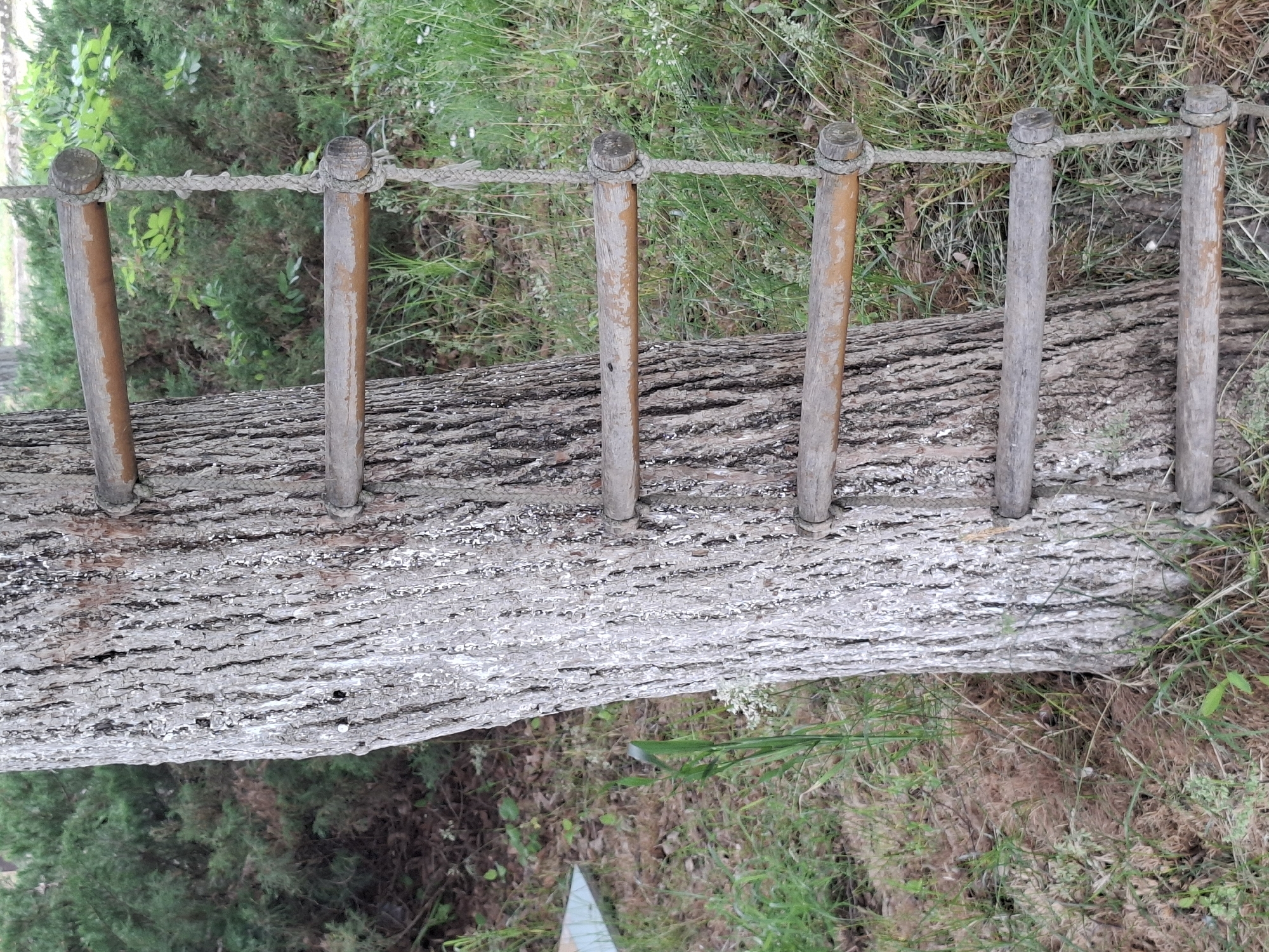A low-angle, slightly askew, close-up shot shows a wooden balance beam with rope handrails in Baylovo, Bulgaria. The beam is constructed from a large, roughly hewn log, light gray in color with distinct bark texture. Six wooden posts, varying in color from light brown to weathered gray, are evenly spaced along the top of the log and function as supports for a thick, braided rope that forms the handrail. The handrail rope is secured around the top of each post with tight knots. The beam is surrounded by greenery, including grass, small bushes, and other vegetation, suggesting an outdoor park or recreational area. The ground beneath the beam is partially obscured by the overhanging vegetation, providing a sense of depth.
