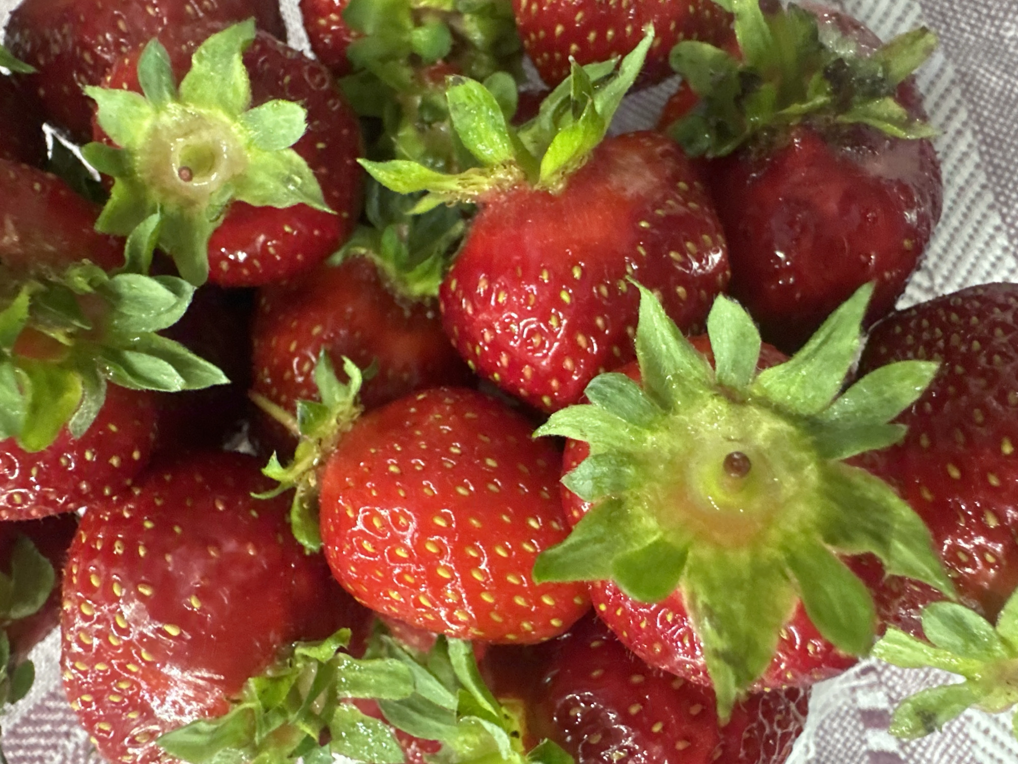 This media file contains a close-up shot of a pile of fresh, red strawberries. The strawberries are plump and glistening, with visible seeds on their surfaces. Some of the strawberries have their green leafy tops still attached. The background is a textured, light-colored material, possibly a tablecloth or basket weave. The lighting appears to be natural, suggesting an indoor setting during the daytime. There are no people, text, or specific location cues visible in the image, other than the given location context of Khimki, Russia. The image focuses entirely on the texture and vibrant color of the ripe fruit, highlighting their freshness.