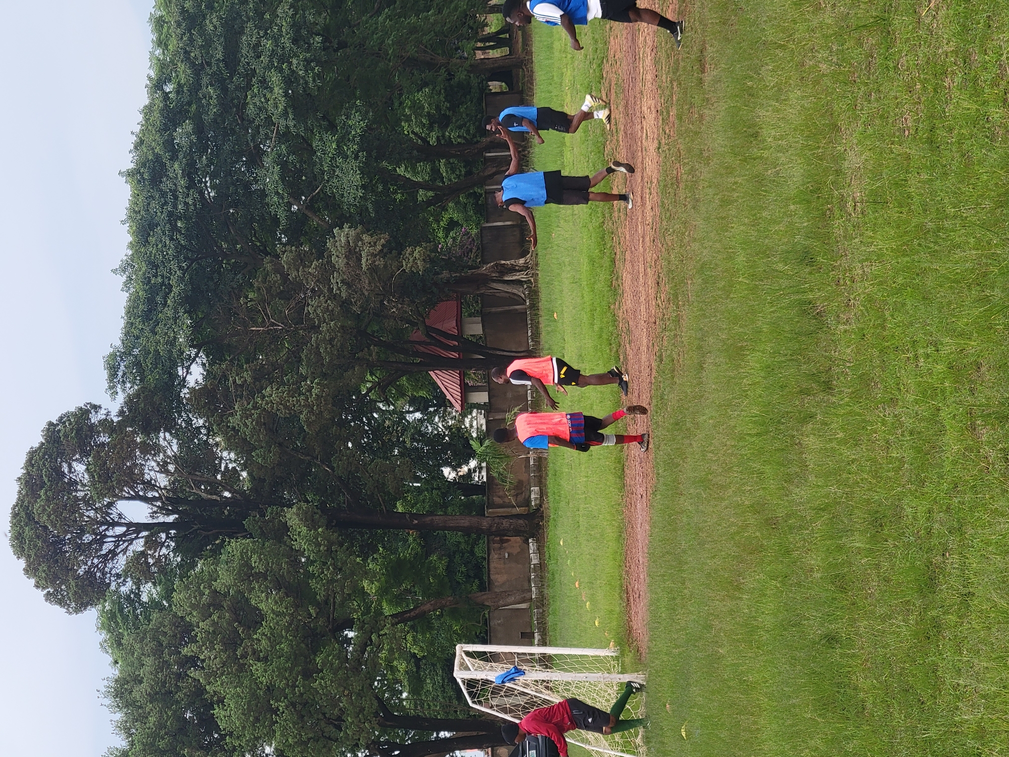 The image depicts a group of young men engaged in a soccer training session on a grassy field. The subjects are dressed in athletic wear, with some wearing blue vests over their shirts and shorts, and others in red and orange vests. They appear to be performing drills, possibly push-ups or a similar exercise, as they are positioned on the ground in a bent-knee stance. In the background, lush green trees and foliage create a natural setting. A soccer goal is visible in the lower left of the frame, with a blue towel draped over its crossbar. The ground is a mix of dirt and grass, suggesting a well-used playing field. The lighting indicates it is daytime, likely overcast or in the shade of the trees, as there are no strong shadows. The overall atmosphere seems to be one of focused training and physical exertion. The location context of Jos, Nigeria, places this scene in a region known for its warm climate and passion for soccer. No visible text is present in the image.
