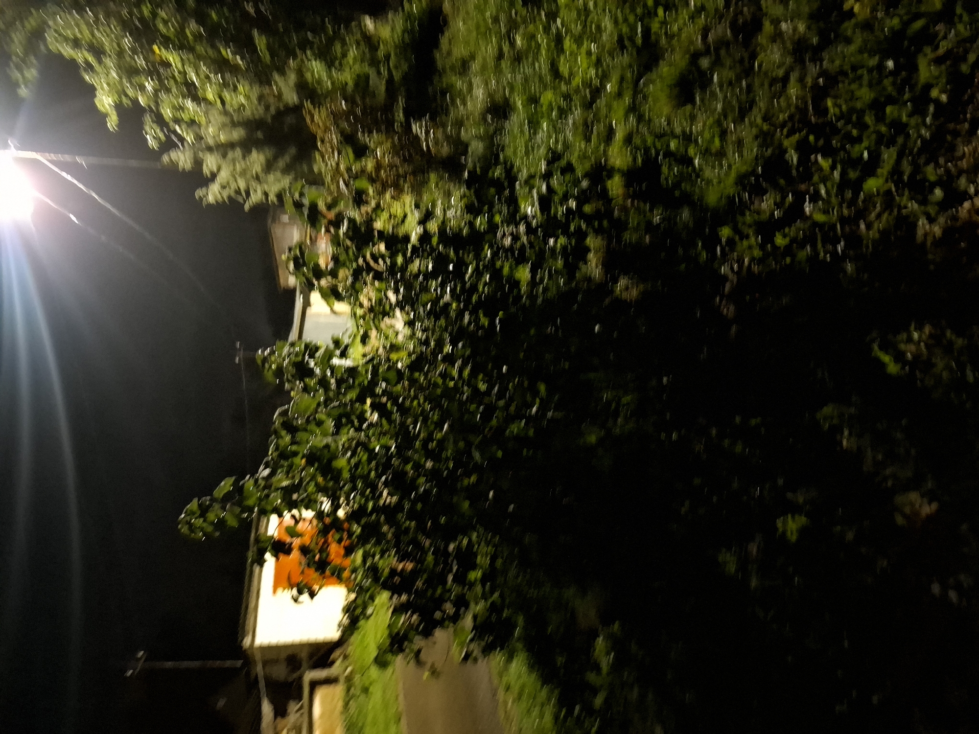 The image depicts a nighttime scene with a bright street light illuminating a bush in the foreground. In the background, a building with an orange door is visible. The scene appears to be located in Novlyanka, Russia, as indicated by the provided context. The overall impression is that of an outdoor, residential or semi-urban environment at night.