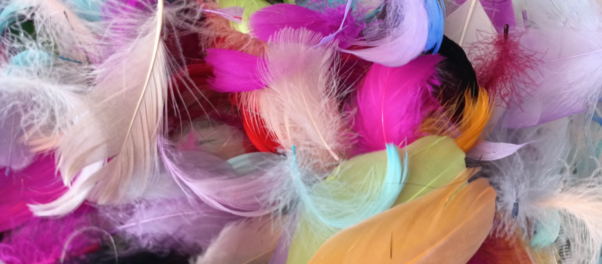 The image displays a collection of colorful feathers in varying shades of pink, purple, blue, green, orange, and white. The feathers are densely packed, creating a textured and visually rich scene. The location and context of the image are unknown.