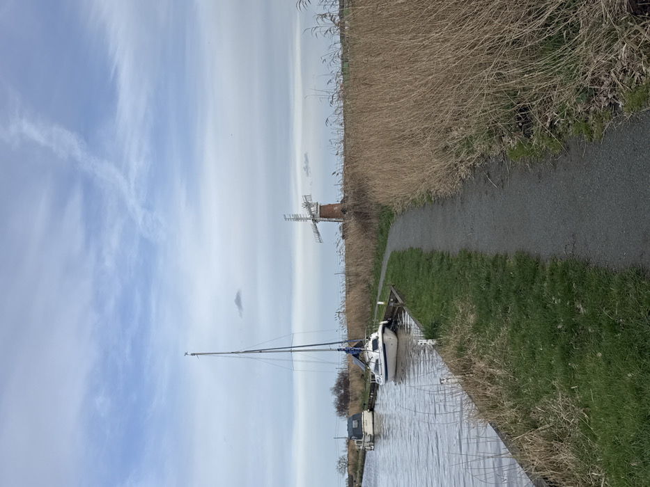 The image displays a rural waterside scene in North Norfolk, United Kingdom, specifically near St Benet's Abbey. A dark grey, unpaved path curves from the foreground towards the middle ground, running parallel to a calm waterway on its left. The path is bordered by short green grass on the left and a dense field of tall, dry, light brown reeds on the right, which extends to the horizon.
Moored along the waterway on the left is a white-hulled sailboat with a tall, slender mast, a blue tarp covering part of its boom, and a visible solar panel on its deck. A small white bird is perched on the masthead. Further along the waterway, partially obscured, a smaller light-colored motor cruiser is also moored. In the background, to the right of the center and rising above the reeds, stands a red brick tower windmill with a white cap and a multi-bladed fantail. The sky is overcast with scattered white and light grey clouds, including a faint contrail. No human figures are present.