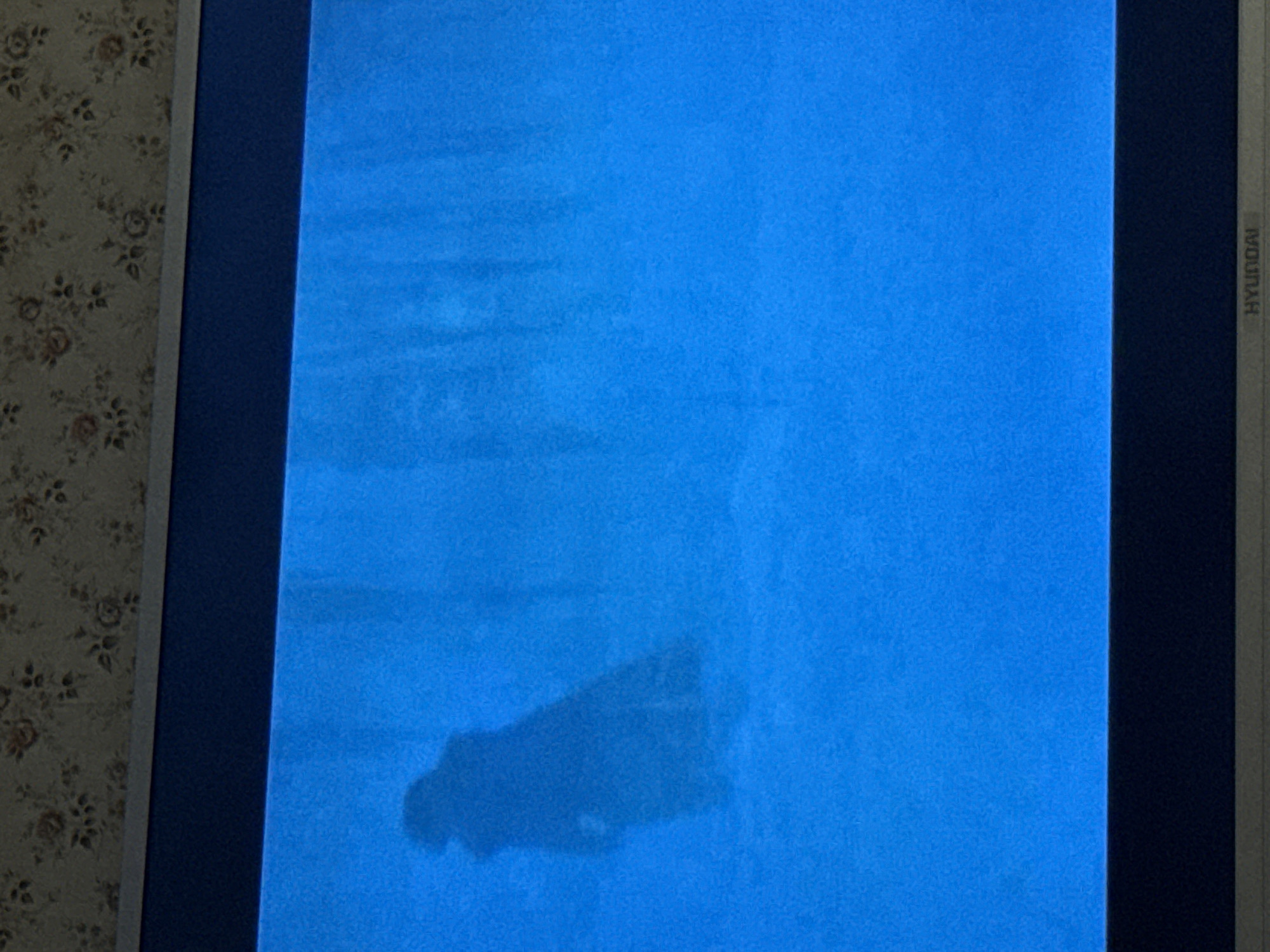 The image shows a blue screen of a Hyundai monitor. In the bottom center, there is a faint, dark silhouette of a person or object. The background to the left of the monitor displays floral wallpaper. The location in the city of Mytishchi, Russia is not discernible from the image.