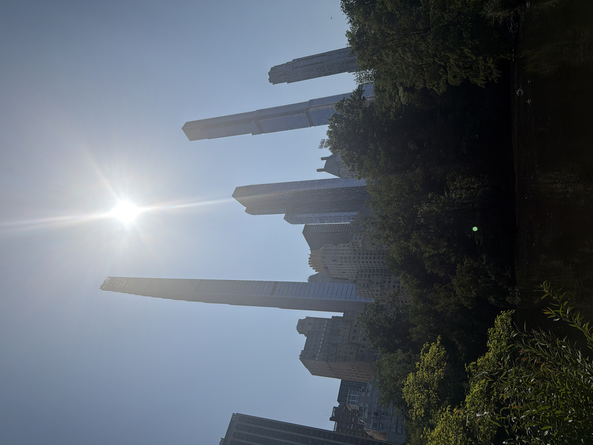 The image shows a view of skyscrapers in New York City, likely from Central Park, on a clear, sunny day. The sun is shining brightly, creating a lens flare effect in the upper center of the image. Several tall, modern buildings, characterized by their glass facades and slender forms, rise above a dense line of trees. The trees are lush and green, suggesting it is springtime or summer. In the foreground, there is a body of water, possibly a pond or lake, with a dark, reflective surface. Some vegetation, including reeds and branches, is visible along the edge of the water. The overall impression is a juxtaposition of nature and urban development.