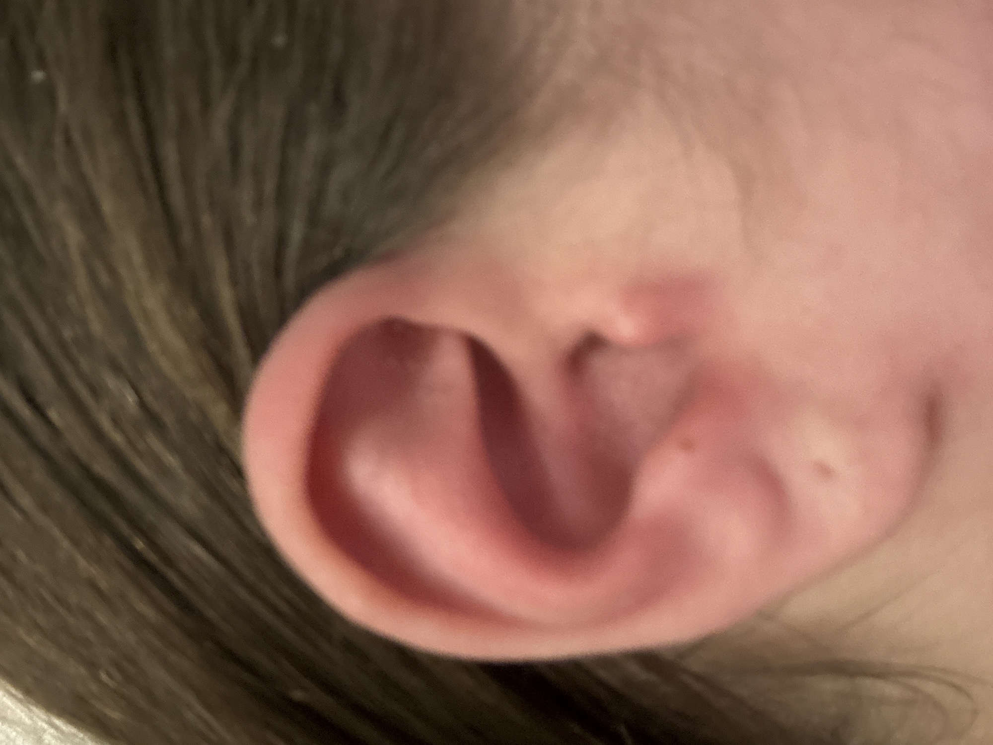The image is a close-up, slightly out-of-focus photograph of a human ear. The ear is pinkish in color and shows some natural folds and contours. Dark brown hair is visible in the background, suggesting the ear belongs to a person with that hair color. There are no discernible objects or activities depicted in the image. The image does not provide any information about the location in the city of Saratov, Russia.