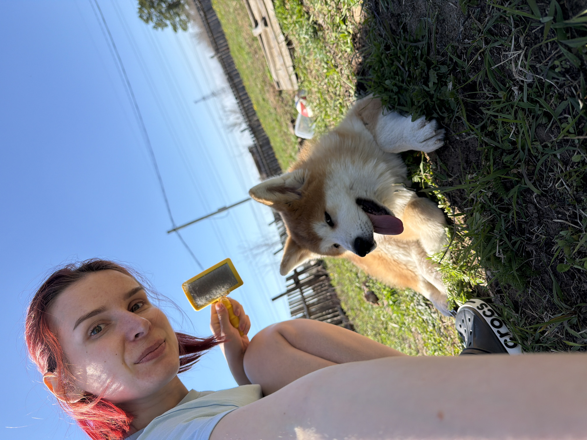 A selfie angled upwards, taken outdoors in daylight. A woman with fair skin and red hair is holding a yellow-handled pet brush. An Akita dog lies on its side on the grass with its tongue out. A black Crocs shoe is visible on the bottom right. The background contains green grass, some wooden planks, and a blue sky. Power lines are also visible in the background. This picture was most likely taken in a rural area of Chaikovsky, Russia.