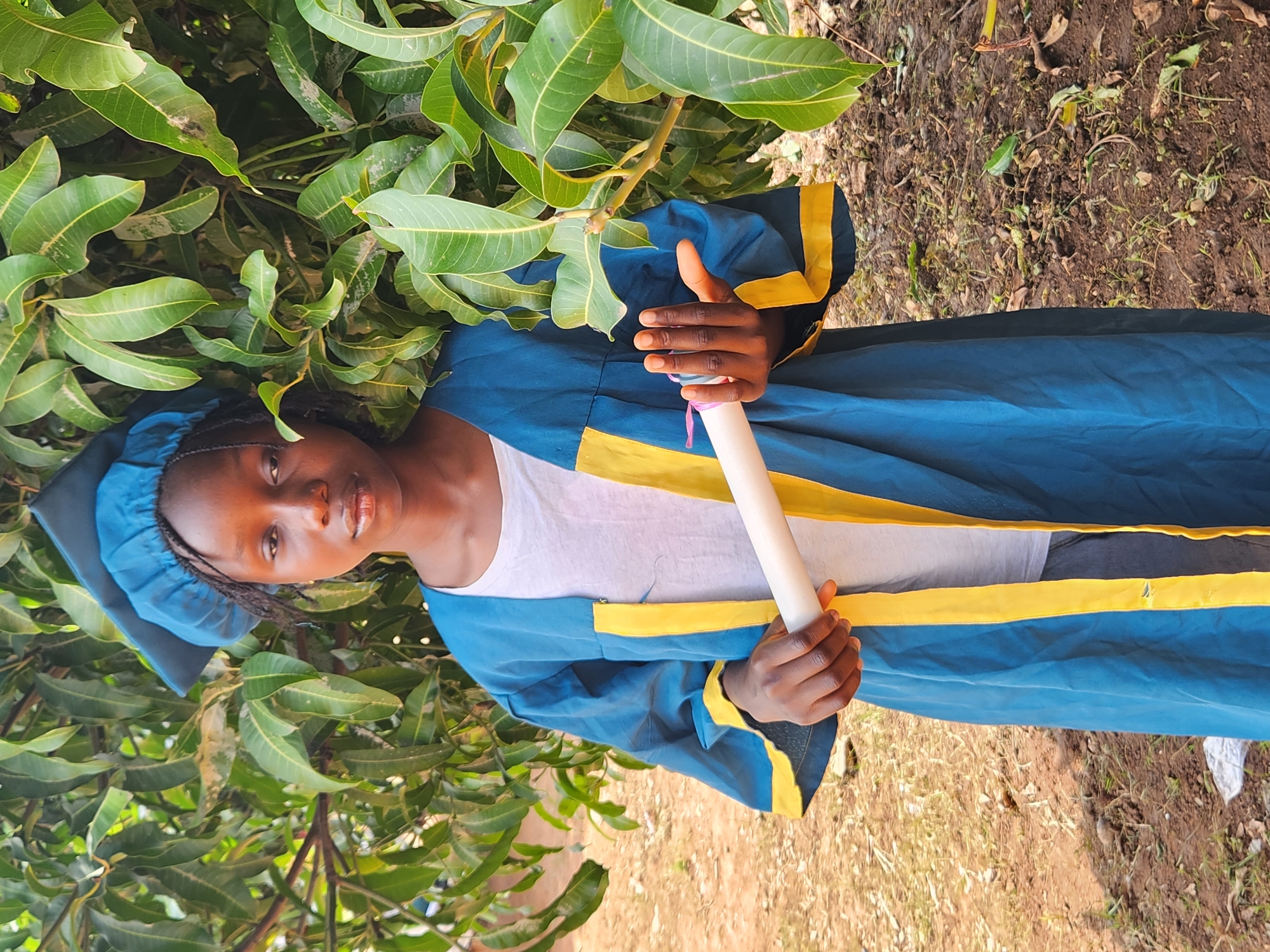 A young Black female, appearing to be of school age, stands outdoors wearing a blue graduation gown with yellow trim and a matching cap. She is holding a rolled-up certificate tied with colorful ribbons. The background consists of lush green foliage, likely from a mango tree, and dry, reddish-brown soil scattered with some debris. The lighting suggests it is daytime, possibly outdoors in a rural or semi-rural setting within Sabon Tasha, Nigeria. The individual is looking directly at the camera with a neutral expression.