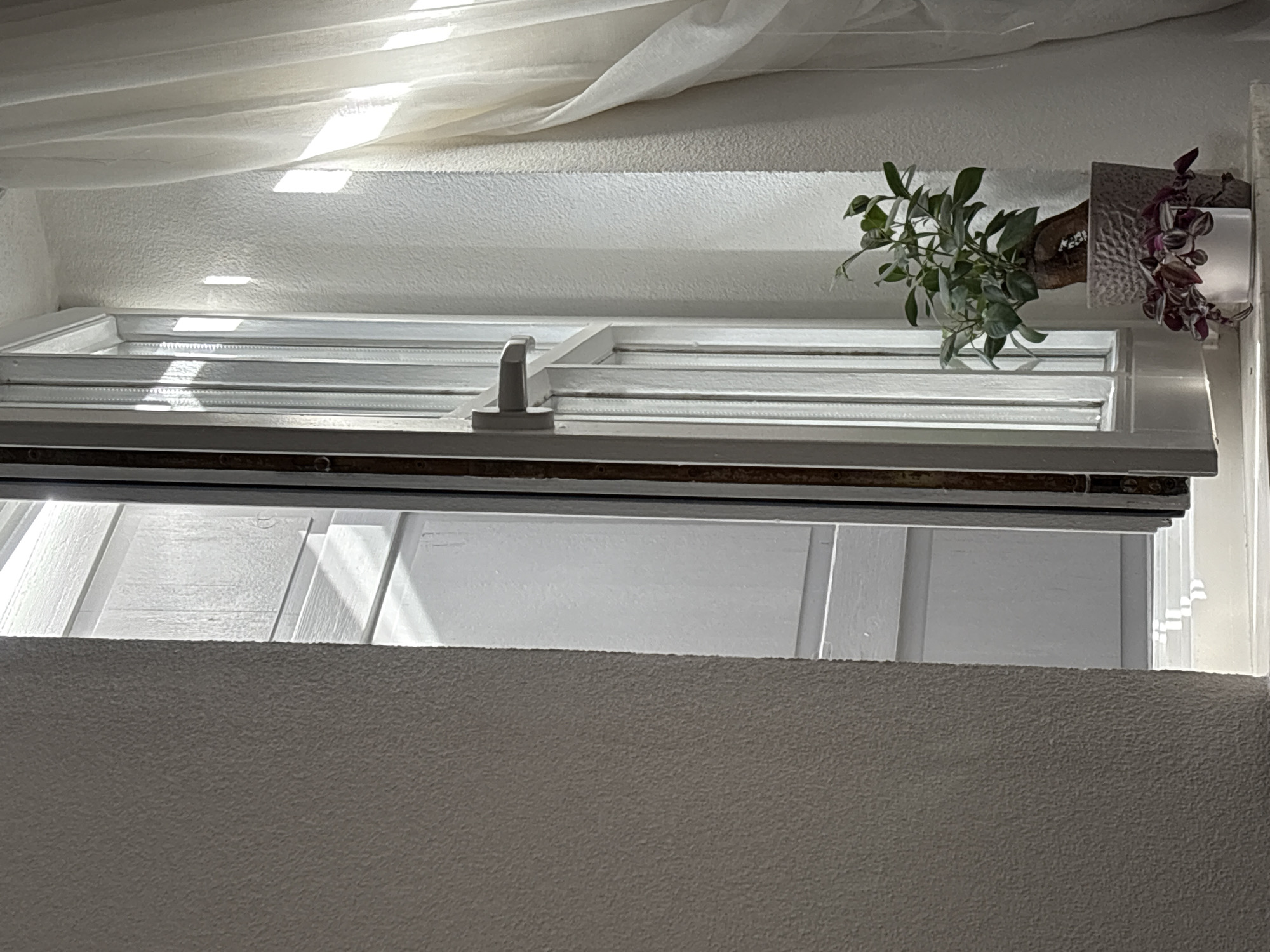 The image shows a window with white wooden shutters. The window is partially open, with the shutters angled to allow light in. A plant with green and purple leaves sits on the windowsill. The wall below the window has a textured surface. The image appears to be taken from inside a room looking out. The location information isn't contained within the image.