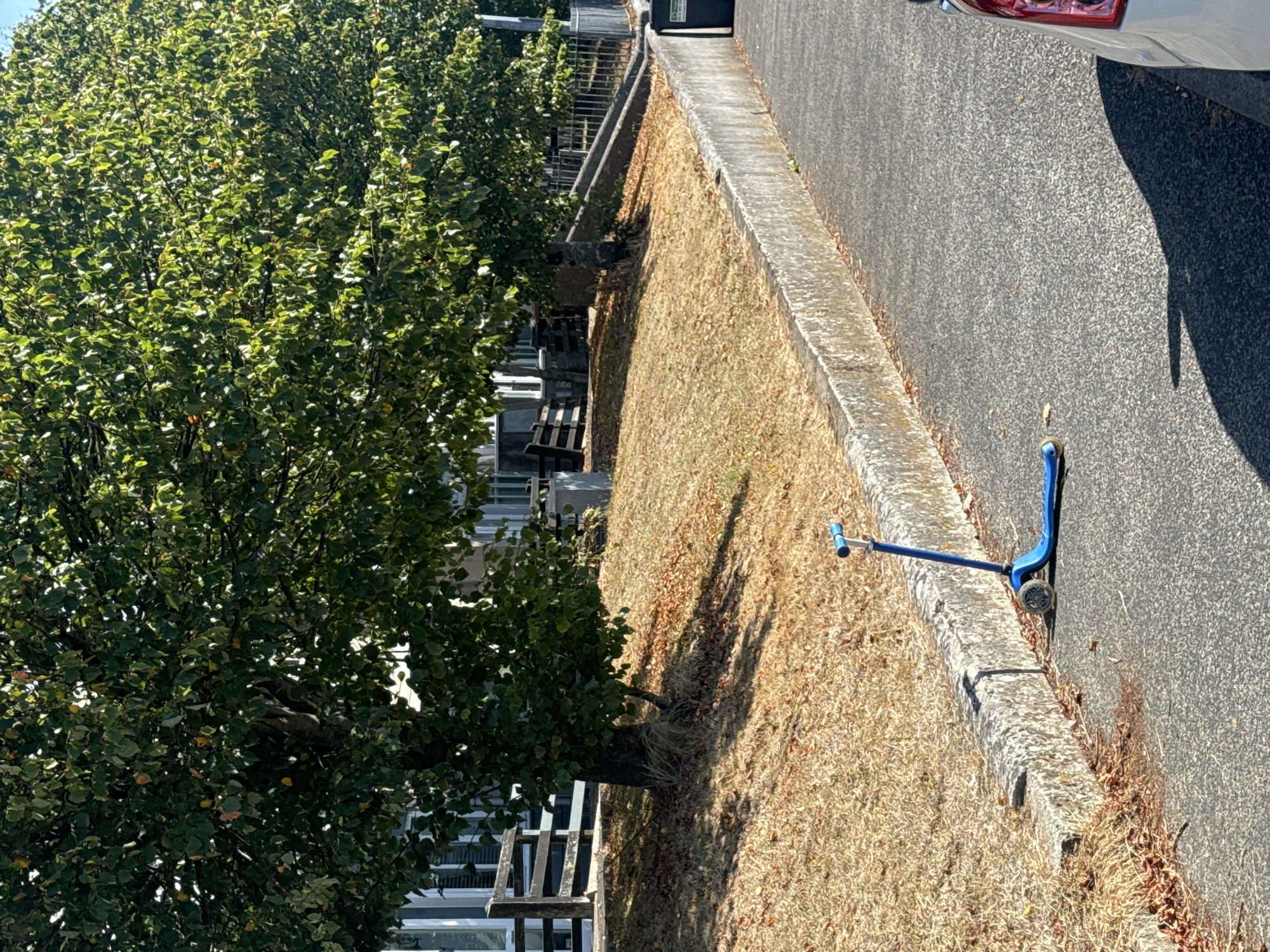 A blue kick scooter lies on its side on an asphalt pathway next to a concrete curb. Behind the curb is a sloped area covered in dry grass and fallen leaves. Two large trees with green foliage are positioned behind this grassy area, casting shadows on the ground. In the background, there is a wooden fence, buildings with windows, and a metal fence. A black trash can with a green sticker is visible to the right of the frame, next to the metal fence. The image appears to have been taken on a sunny day. The location is identified as Waterford, Ireland.