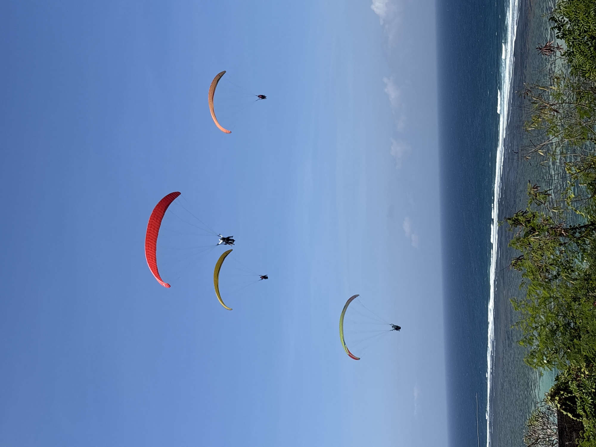 This media file captures a group of people paragliding over the ocean near Kuta Selatan, Indonesia. The image shows four paragliders, each with a brightly colored parachute, soaring against a clear blue sky. The paragliders are spread out, with one in the upper left, another in the middle left, and two further down and to the right. Their parachutes are predominantly orange, red, and yellow, creating a vibrant contrast with the sky.
In the background, a serene ocean stretches out to the horizon, with white waves crashing along the shore, indicating a coastal setting. The water appears calm beyond the breaking waves, with a hint of turquoise near the land, suggesting shallow, clear water over a reef or sandbar. To the right of the image, lush green foliage, likely trees and bushes, frames the scene, with some of the leaves appearing sun-dappled.
The lighting suggests it is a bright, sunny day, likely midday, given the clear sky and the sharp shadows visible on the paragliders and their equipment. The overall mood is one of adventure and freedom, with the paragliders enjoying the thrill of flight and the scenic beauty of the Indonesian coastline. There is no visible text in the image.