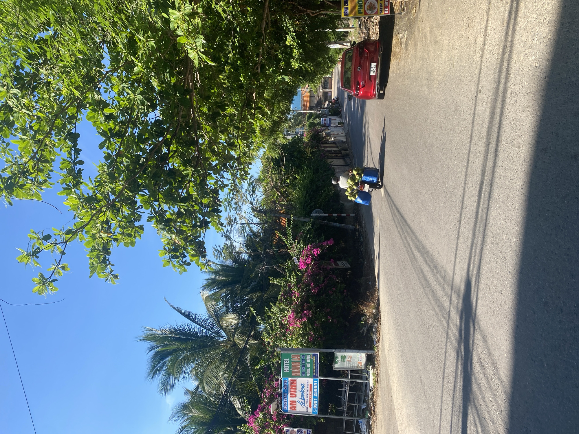 The image depicts a sunny day in Mũi Né, Vietnam, with a clear blue sky visible above lush green trees and palm fronds. A paved road runs through a tropical landscape lined with vegetation, including vibrant pink bougainvillea.
The scene captures a typical street view with a red car parked on the right side of the road and a person on a motorcycle in the foreground. The motorcycle is laden with a large stack of coconuts, indicating a common mode of transportation for goods in the area. Several signs are visible along the roadside, with some text decipherable as advertisements for "HOMESTAY HOTEL AN VINH" and "HOÀNG LAI HOTEL." Other signs mention "LONG-TERM MONTHLY ROOMS" and a phone number, suggesting accommodations are available. The presence of a "BÁNH CAN" and "PHO" sign hints at local food vendors.
The lighting suggests it is daytime, possibly mid-morning or afternoon, given the strong shadows cast by overhead wires and trees. The overall impression is one of a peaceful, everyday scene in a coastal Vietnamese town, characterized by tropical flora, local commerce, and a relaxed atmosphere.