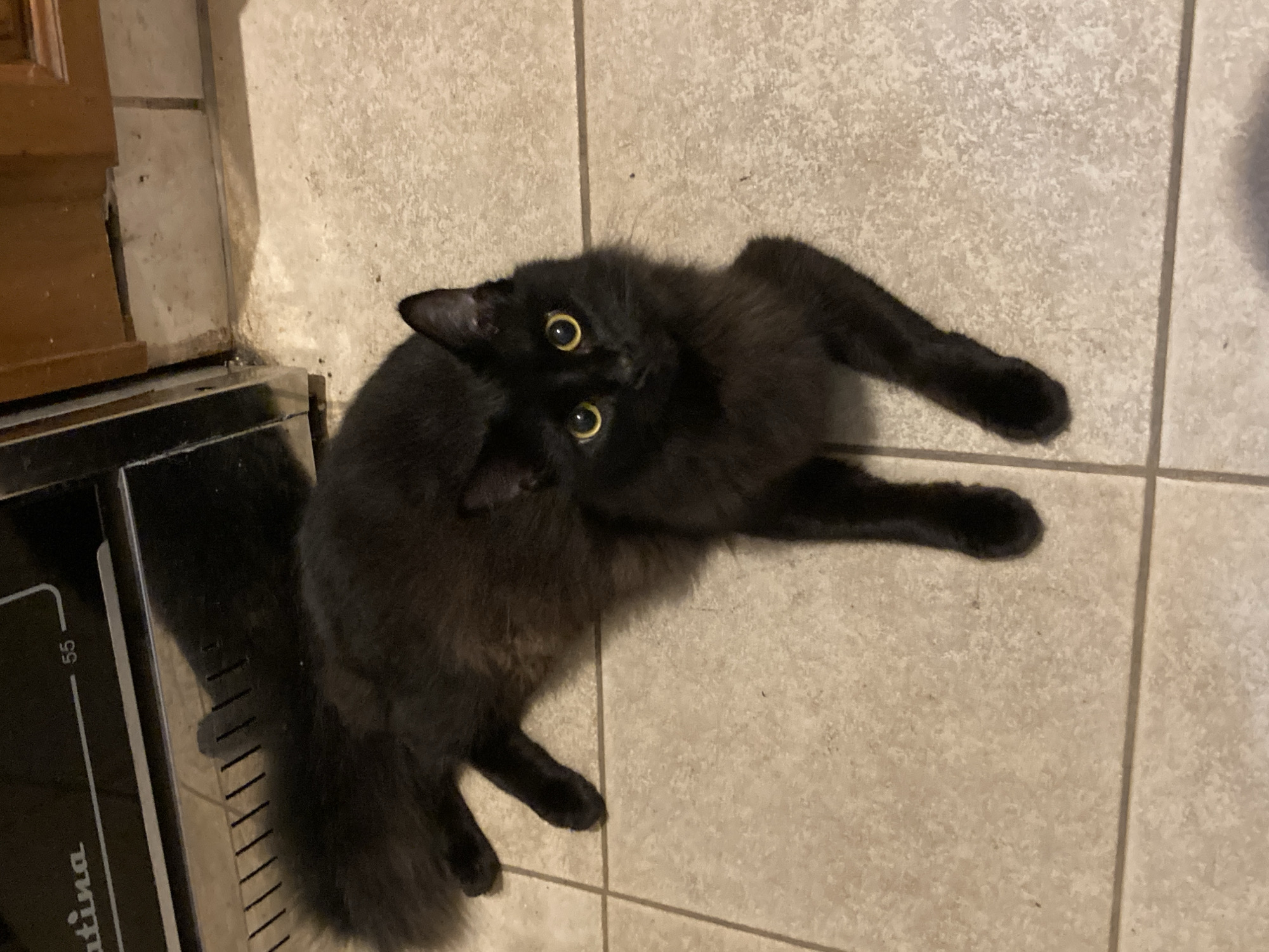 A black cat lies on a tiled floor next to a stainless steel appliance, possibly an oven. The cat is looking up towards the camera with its yellow eyes. The floor is made of large, light-colored tiles with a slightly mottled texture. The oven is positioned on the left side of the frame, partially obscured by the cat.