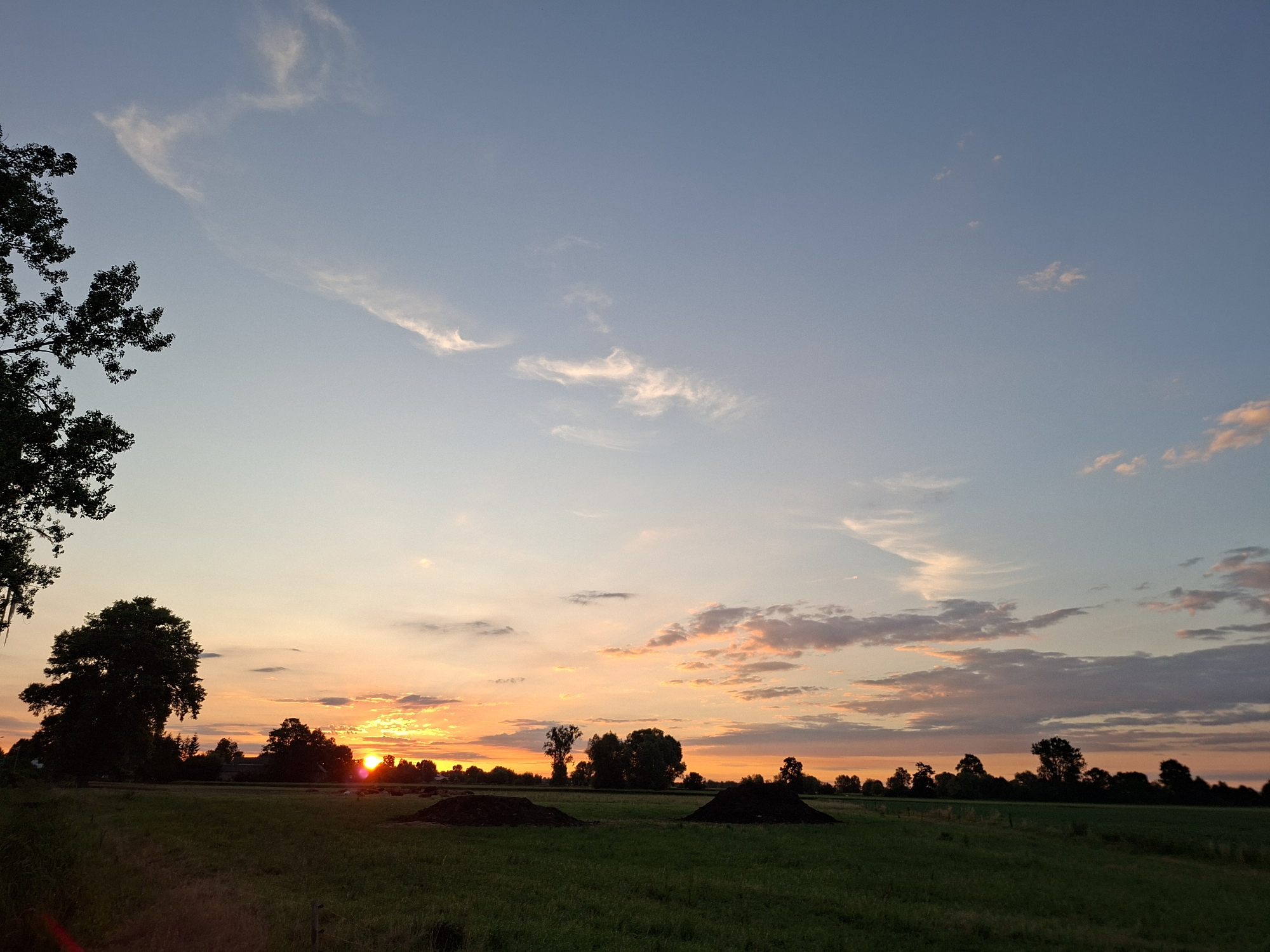 A wide, horizontal, full shot captures a rural landscape at sunset. The sky transitions from a light blue at the top to a warm orange and pink hue near the horizon. Wispy clouds are scattered across the sky, some catching the golden light of the setting sun. In the foreground, a green field stretches across the image, with darker patches of soil or compost piles intermittently spaced. Silhouetted trees dot the horizon, with a particularly large, dark tree dominating the left side of the frame. The sun itself is a bright, glowing orb peeking through the trees on the right side of the image. The overall impression is one of serene, natural beauty.
