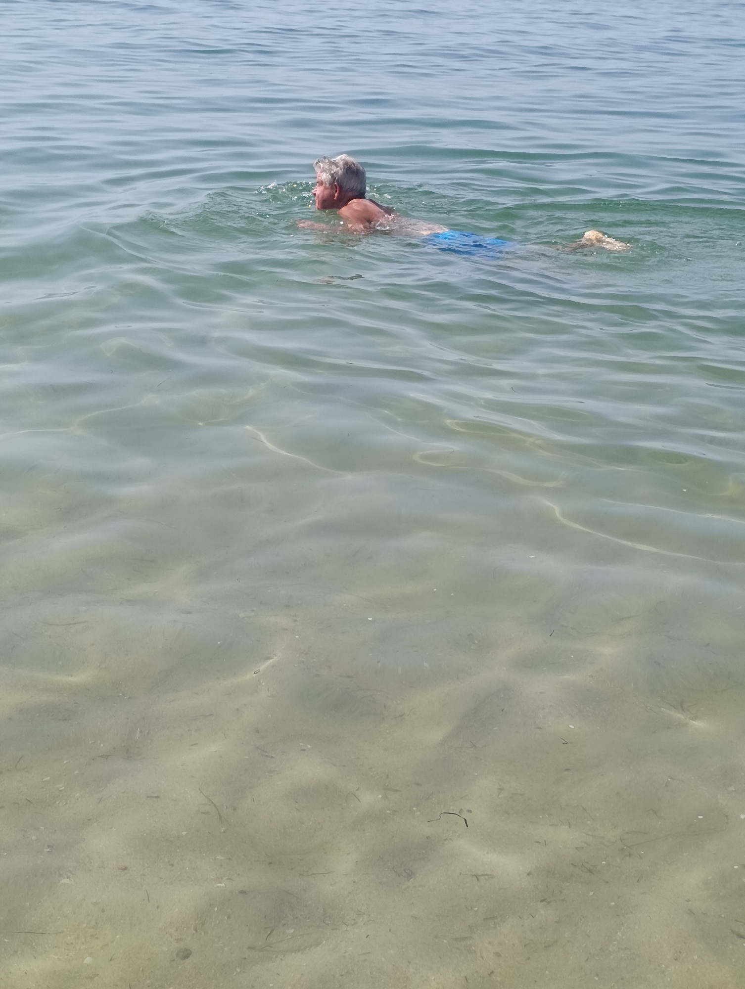A middle-aged man with grey hair is swimming in clear, shallow water. He is wearing blue swim trunks. The water is calm with gentle ripples. The sandy seabed is visible beneath the water. The image appears to be taken from a slightly elevated perspective, looking down at the swimmer. The location is not identifiable from the image.