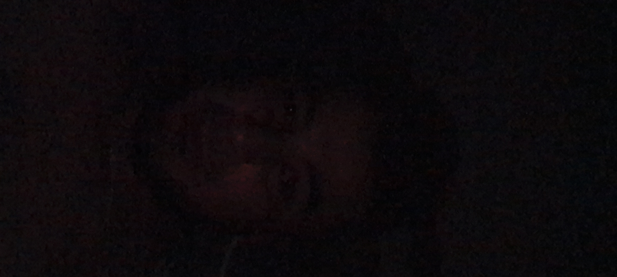 The media file is a dark, low-light photograph featuring what appears to be a person's face, possibly a child's, as the central subject. The face is mostly obscured by shadow, with only faint outlines and hints of features visible. A reddish glow emanates from around the face, suggesting an artificial light source or a reflection. The background is entirely dark and indistinct, providing no context for the setting, time of day, or weather conditions. There is no visible text in the image. The overall impression is one of mystery and obscurity, with the subject's identity and the surrounding environment remaining largely unknown. The provided location context of "Металлург Снт, Russia" does not offer any visual cues within the image itself.