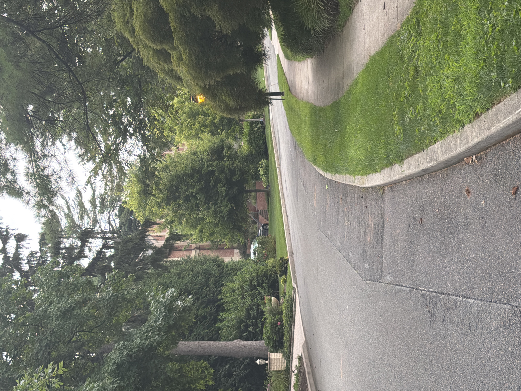 This is a vertical, full-shot image of a tree-lined suburban street in the Village of Great Neck, USA. A paved road curves to the left in the foreground, with a concrete sidewalk to its right, bordered by lush green grass and manicured shrubs. Beyond the sidewalk, a tall, leafy tree with a single light fixture at its base is visible. Further back, a dark-colored sedan is parked on a paved driveway leading to a large, red-brick building with arched windows, partially obscured by dense foliage and mature trees. The sky is overcast, casting a soft, diffused light on the scene.