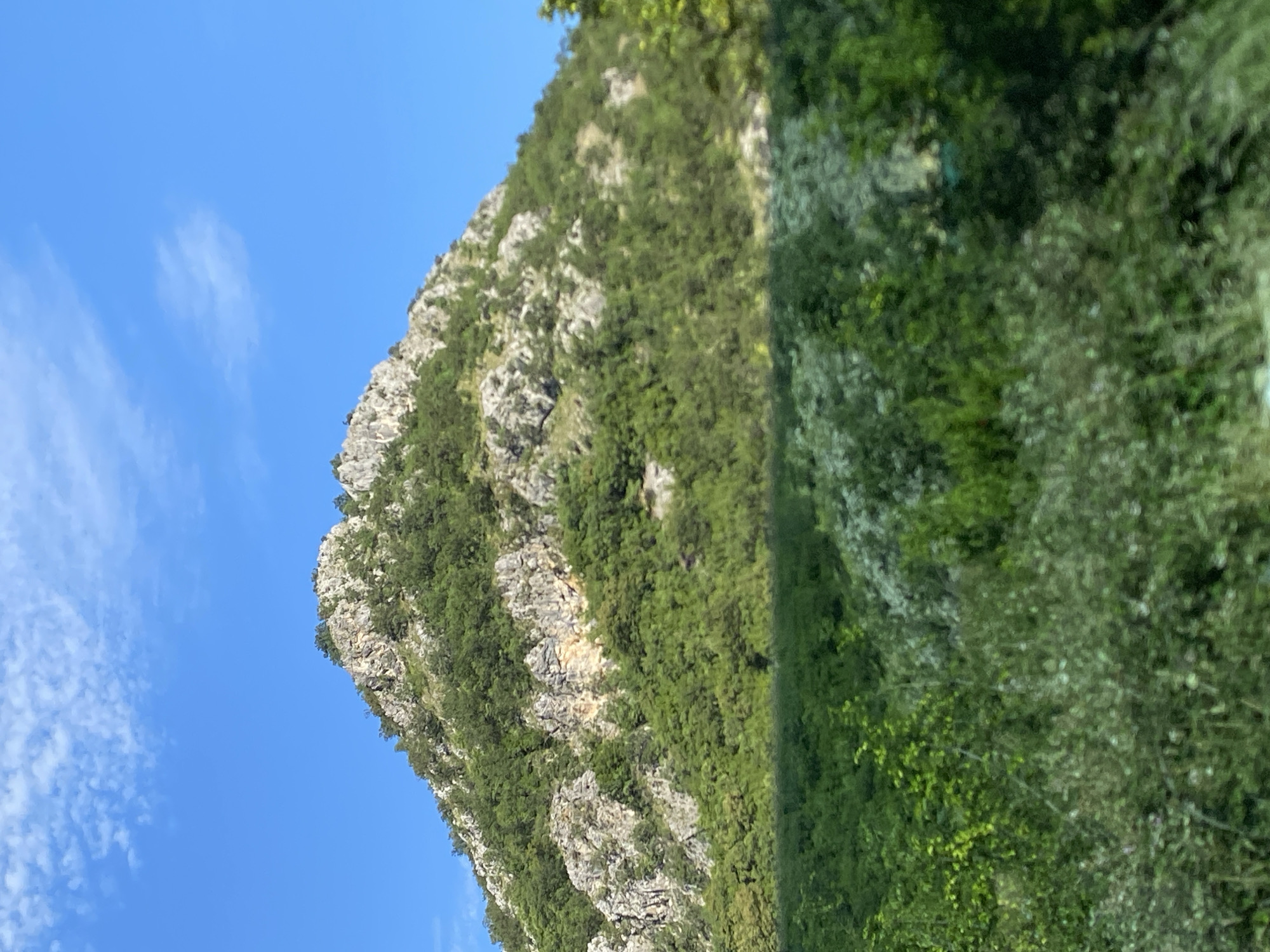 The image shows a rocky, tree-covered mountain peak under a clear blue sky with sparse white clouds. The foreground is filled with lush green foliage, appearing as dense bushes or trees. The mountain itself has exposed grey and tan rock faces interspersed with green vegetation. The scene is consistent with a natural landscape, likely in a rural or mountainous area. The location is identified as Bioče, Montenegro.