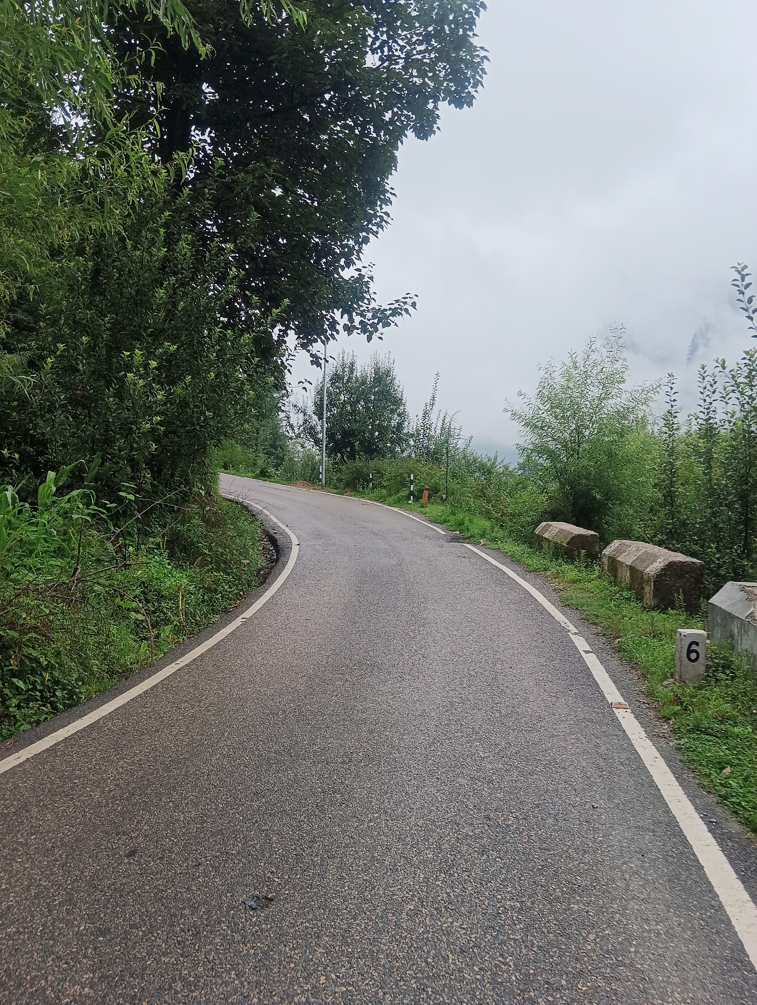 The image depicts a winding asphalt road in a rural, mountainous area with lush green vegetation on either side. The road curves to the right, disappearing into the distance. Large trees with dense foliage dominate the left side of the frame, while the right side features smaller trees, bushes, and a cloudy sky. Several concrete blocks, possibly for road edge protection, are visible on the right shoulder, with a marker post displaying the number "6" in front of them. The overall atmosphere is serene and natural, suggesting a location outside a city. No people or specific city landmarks are identifiable, but the presence of the road marker "6" might indicate a kilometer marker or route identifier.