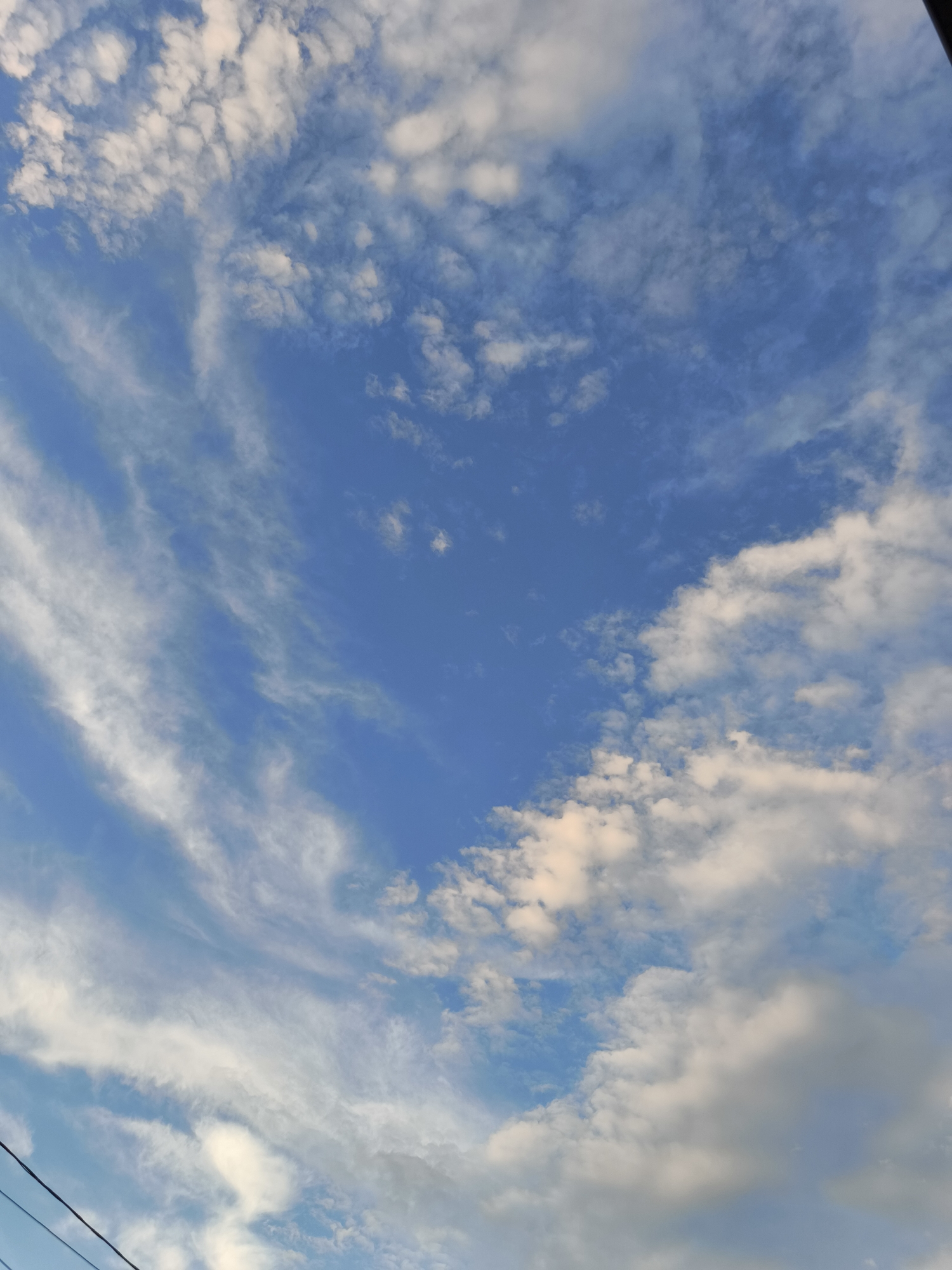 The image shows a wide expanse of blue sky with scattered white clouds. The clouds vary in density and shape, with some appearing wispy and streaky, characteristic of cirrus clouds, while others are more voluminous and puffy, resembling cumulus clouds. The lighting suggests it is daytime, possibly late afternoon or early morning, given the soft illumination on the clouds. There are faint, dark diagonal lines in the lower left corner, which appear to be power lines, indicating an outdoor, potentially urban or semi-urban, environment. The image is taken from a low angle, looking upwards into the sky. Without further information or context, pinpointing a specific location within Катунь, Russia, is not possible based solely on the visual data of the sky and clouds.