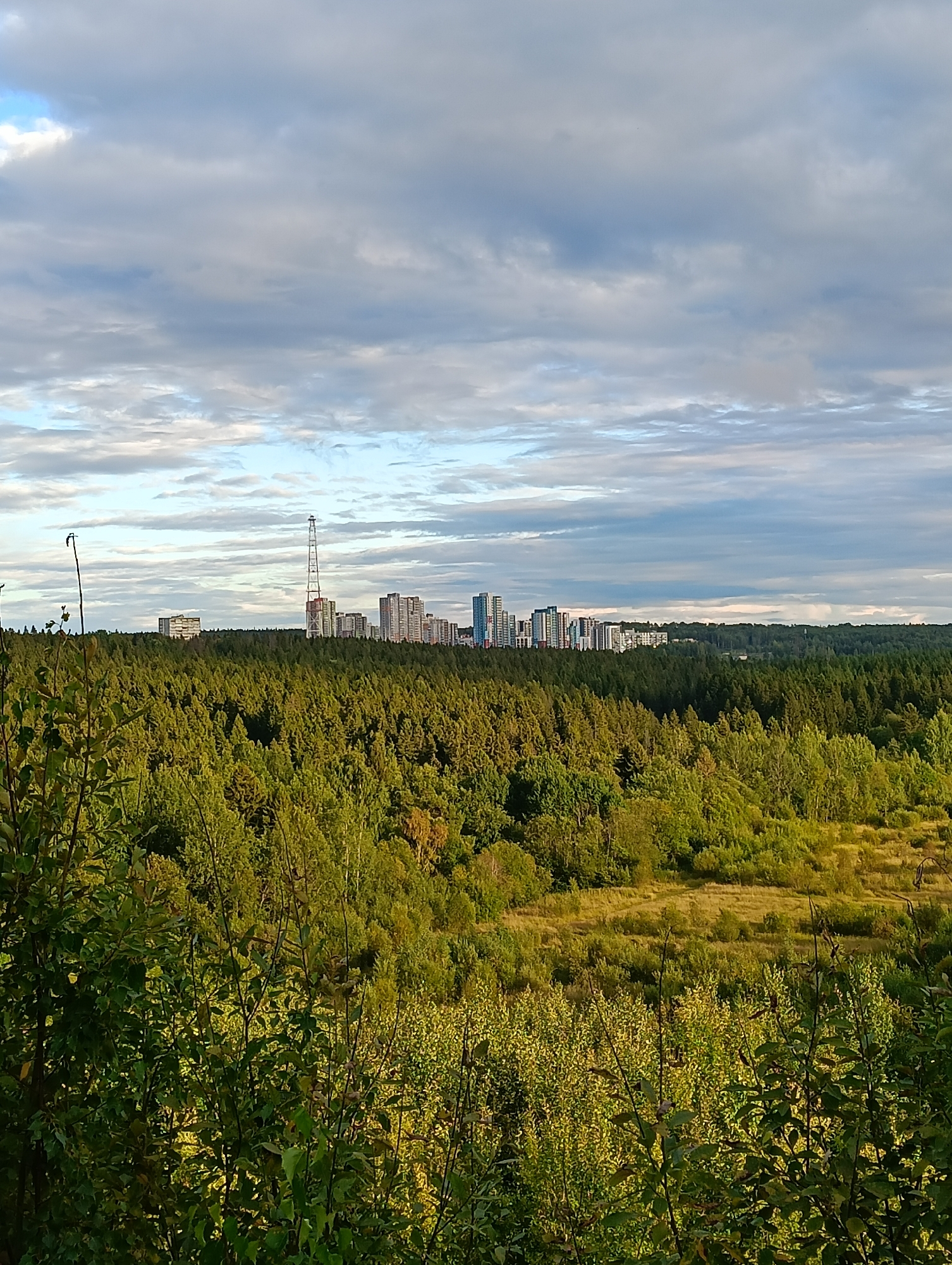 The image depicts a wide-angle view of a cityscape juxtaposed with a dense forest and foreground foliage, likely captured from an elevated vantage point. In the distance, a cluster of modern high-rise apartment buildings forms the urban skyline. A prominent radio tower stands amongst these buildings, its lattice structure visible against the sky. The buildings appear to be located in the area of the city of Petrozavodsk, Russia, near the northern part of the city.
Dominating the mid-ground is an expansive forest, primarily composed of coniferous trees, with patches of deciduous trees showing varied shades of green and hints of autumnal yellow. The forest stretches horizontally across the frame, creating a rich textural contrast with the urban elements. The foreground is filled with the vibrant green leaves and branches of trees and bushes, suggesting a natural or park-like setting.
The sky above is partly cloudy, with a mix of grey and white clouds interspersed with patches of blue sky. The lighting suggests it is either early morning or late afternoon, as the sunlight casts a warm glow on the landscape. There are no visible people or animals in the scene. The overall impression is one of a blend between urban development and natural wilderness.