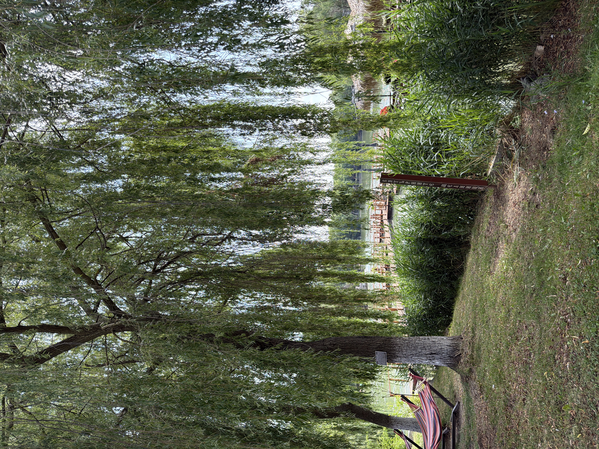 The image depicts a tranquil outdoor scene, likely a park or recreational area, with a focus on natural elements and leisure amenities. In the foreground, a lush green lawn is partially covered with fallen leaves, suggesting a natural or less manicured setting. To the left, two hammocks are set up, one red and striped, the other less visible, indicating a place for relaxation. Two large willow trees dominate the left and central portions of the image, their long, drooping branches creating a canopy that casts shadows and adds a sense of serenity.
Behind the trees, a body of water, possibly a river or lake, is visible. Along the water's edge, a wooden walkway or pier extends into the water, dotted with structures that appear to be huts or cabanas with thatched roofs, suggesting a resort or dining area. Tall, reedy grass lines the bank of the water, creating a natural barrier and contributing to the lush vegetation. A red wooden sign with white lettering is partially visible among the reeds.
The sky is a light blue with some scattered clouds. The overall impression is one of a peaceful, natural environment conducive to leisure activities, possibly a public park or a resort located near a waterfront. Based on the information provided, this scene is located in the city of Gorna Malina, Bulgaria.