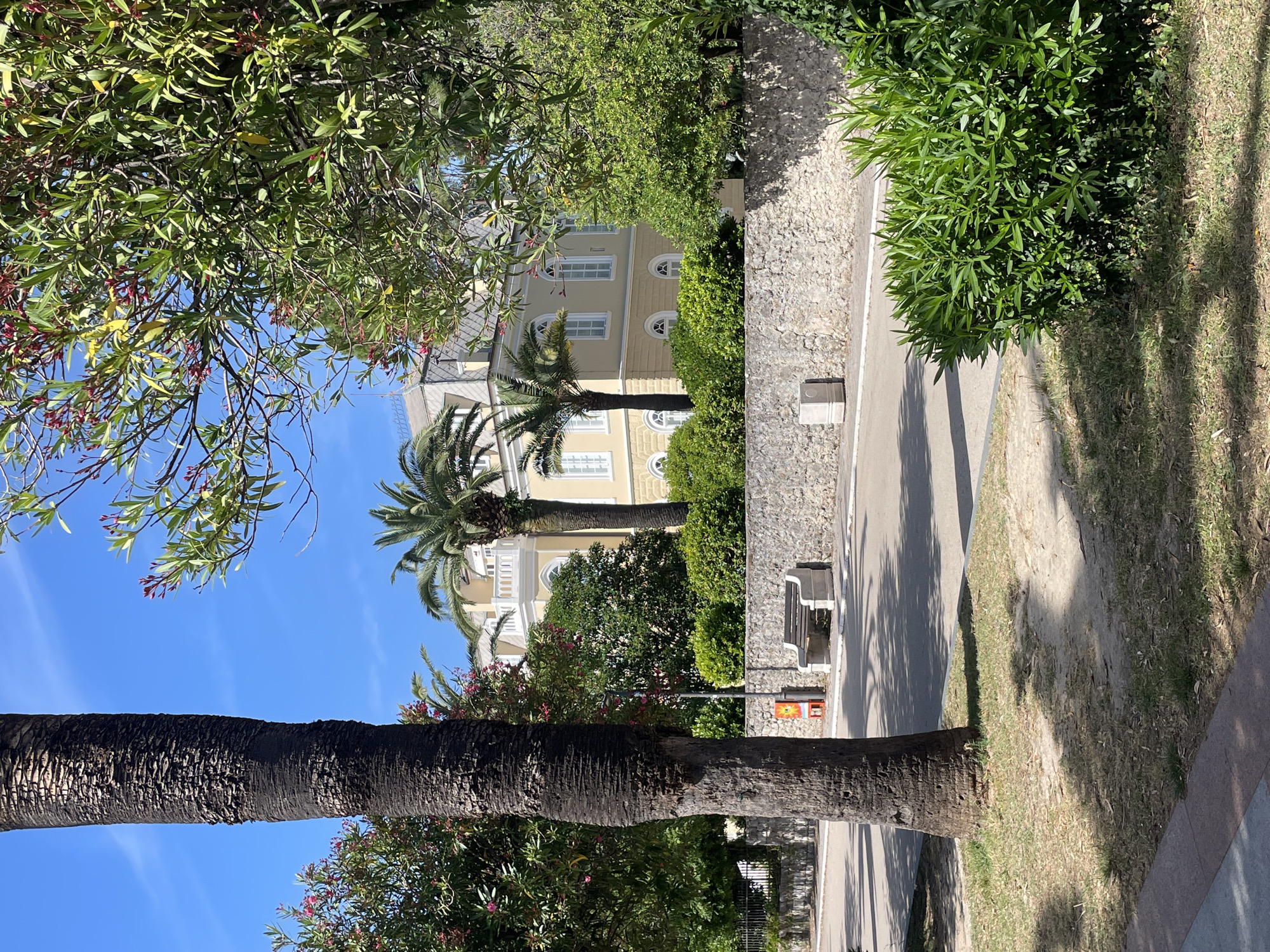 The image displays a sunlit outdoor scene in Bar, Montenegro, captured from a slightly elevated perspective. In the immediate foreground, on the left, a thick, dark brown palm tree trunk with textured bark stands prominently, casting a long shadow towards the lower left. The ground around its base consists of sparse, dry grass and patches of dirt. To the right in the foreground, a dense, dark green bush with pointed leaves fills the lower right corner.
In the midground, a paved area, likely a road or wide path, stretches horizontally, bordered by a low stone wall constructed from irregularly shaped light grey and beige stones. A white concrete bench with a wooden seat is positioned against this wall, to the right of the central palm tree. Between the palm tree and the bench, a small, reddish-orange utility box or pedestal is visible at the base of the wall.
Beyond the stone wall, a variety of green foliage, including bushes and taller trees, partially conceals a large, elegant building in the background. This multi-story structure features light yellow facades, white trim, and numerous arched windows with white frames. A white balustrade adorns an upper-level balcony or terrace. The building is topped with a grey, multi-pitched roof featuring dormer windows. Two large palm trees are visible in front of and flanking the building. The sky above is clear and bright blue. The scene is devoid of people or animals, and strong sunlight from the upper right casts distinct shadows across the foreground and midground.