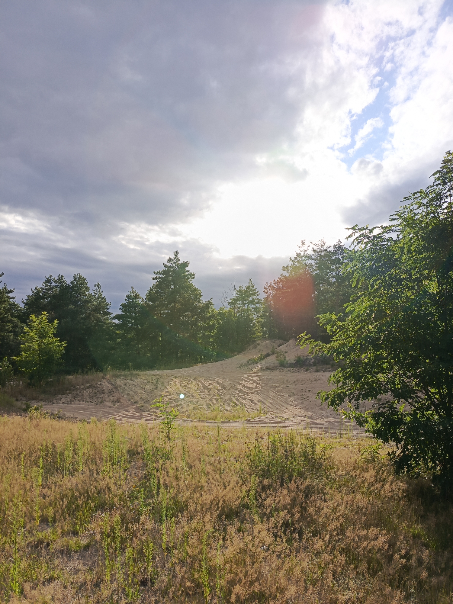 The image depicts a natural landscape scene, likely a sandy area with vegetation and trees. The foreground is dominated by tall, dry grasses and some green shoots. Behind this, there is a sandy slope with tire tracks, indicating vehicular activity. A dense line of evergreen trees, primarily pine trees, forms a backdrop, with some deciduous trees also present. The sky is partly cloudy, with the sun shining through, creating bright spots and a lens flare effect. The overall impression is one of a rural or semi-natural environment. The location is identified as being in the city of Bolesławiec, Poland, which is known for its sandy soil and proximity to pine forests. The scene appears to be captured during daylight hours, possibly late afternoon, given the angle of the sun and the light quality. There are no people or animals visible in the image. The environment is characterized by sand, various types of vegetation, and a mix of cloudy and sunny sky conditions.