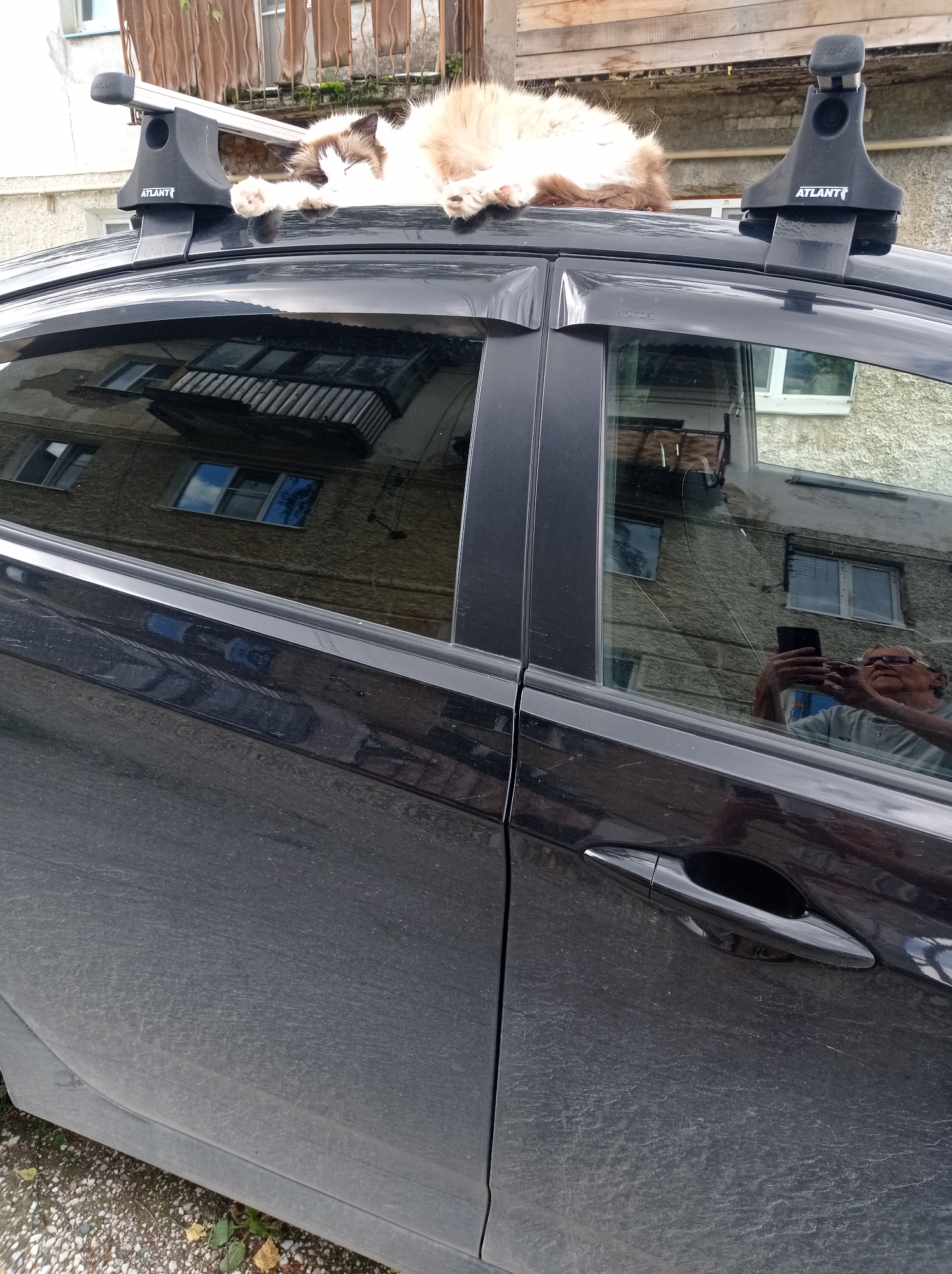 A medium-shot, eye-level outdoor photograph shows a light-colored cat with brown markings sleeping on the roof rack of a black car parked on a street in Degtyarsk, Russia. The cat is lying on its back with its paws outstretched. The car's windows reflect buildings and a person holding a phone, possibly taking a photo. The car appears dusty. The surrounding environment is partially visible, including a building with windows and a balcony, and a dirt and gravel area with some fallen leaves. The sky is not visible.
