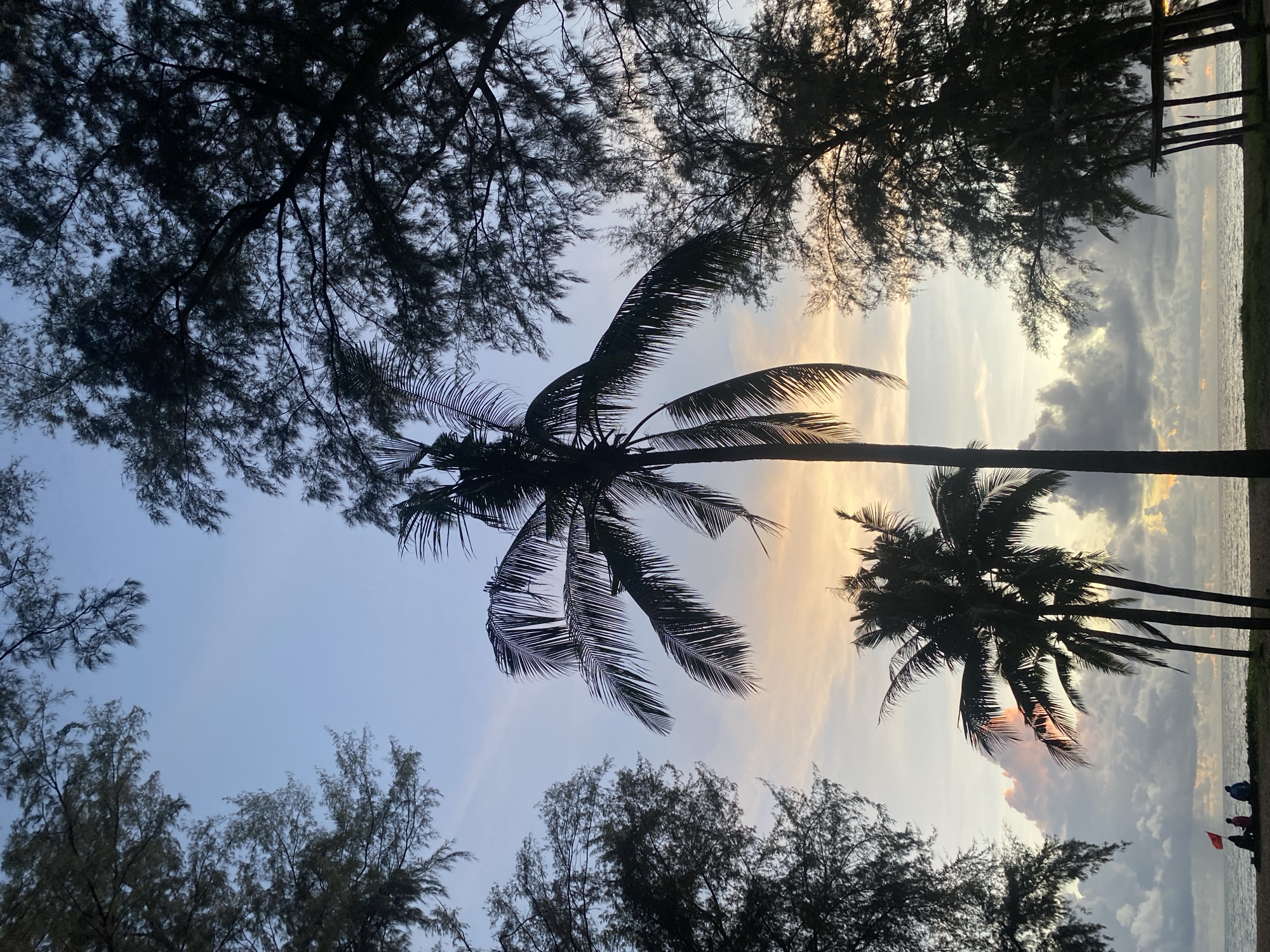 In the city of Choeng Thale, Thailand, silhouetted against a soft twilight sky, is a beach scene framed by dark, leafy trees. The sky transitions from a pale blue overhead to hues of orange and pink near the horizon, where scattered clouds are tinged with color. Dominating the center of the image is a tall palm tree, its fronds reaching out like dark lace. To its left, a cluster of three shorter palm trees are also silhouetted. In the distance, near the water's edge, a small group of people, four individuals, are seated on the sand. One person is partially obscured by a red flag. The ocean stretches to the horizon, with a gentle swell visible. The overall impression is one of a serene, natural landscape at dusk.