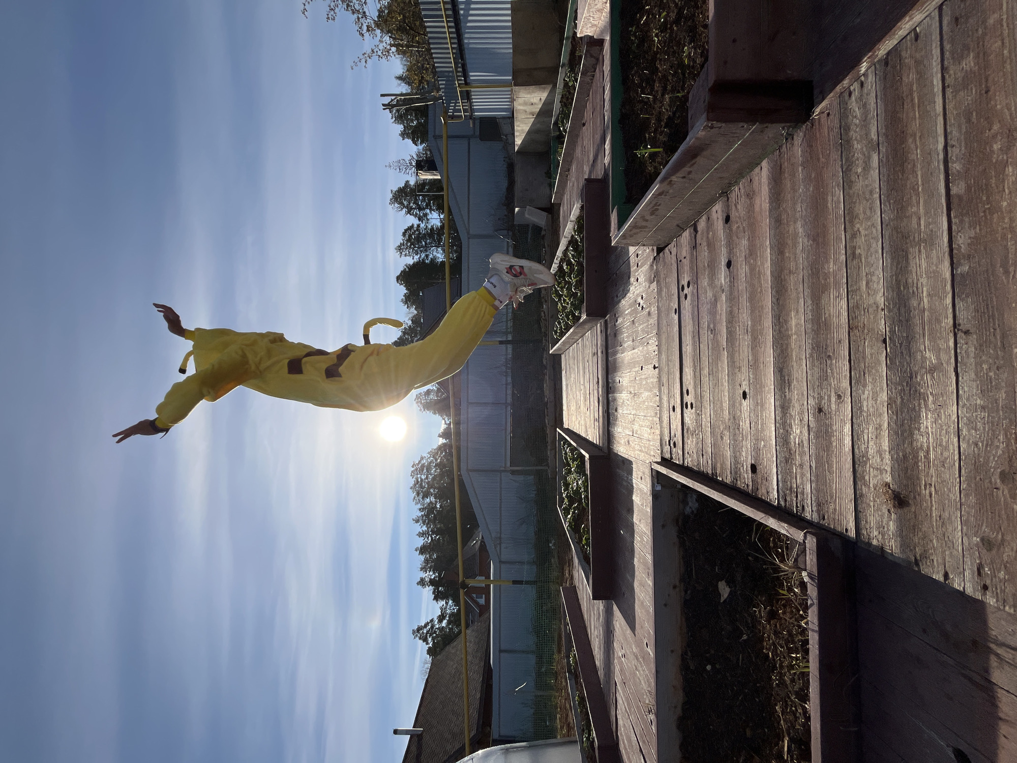 A person wearing a vibrant yellow, full-body suit, possibly a character costume, is captured in mid-air, appearing to jump or float horizontally across the frame. Their arms are outstretched and legs extended, suggesting a dynamic and playful movement. The bright, intense sun is positioned behind and slightly to the right of the person, creating a strong backlight and a visible lens flare.
The scene depicts an outdoor setting, likely a backyard or garden in Chaikovsky, Russia. To the right, a rustic wooden walkway or decking extends horizontally, lined with several raised wooden planter boxes containing dark soil and small green plants. The weathered wood exhibits prominent grain and texture.
In the background, a corrugated metal fence separates the immediate area from a cluster of green trees and distant buildings, possibly houses or sheds. A distinct yellow gas pipe runs along the fence line. The sky is largely clear and bright blue with a few faint clouds, indicating sunny daytime weather. The person wears white athletic sneakers with red accents and an unidentifiable small red logo or text on the side. The image conveys a sense of energy and joyful abandon.
