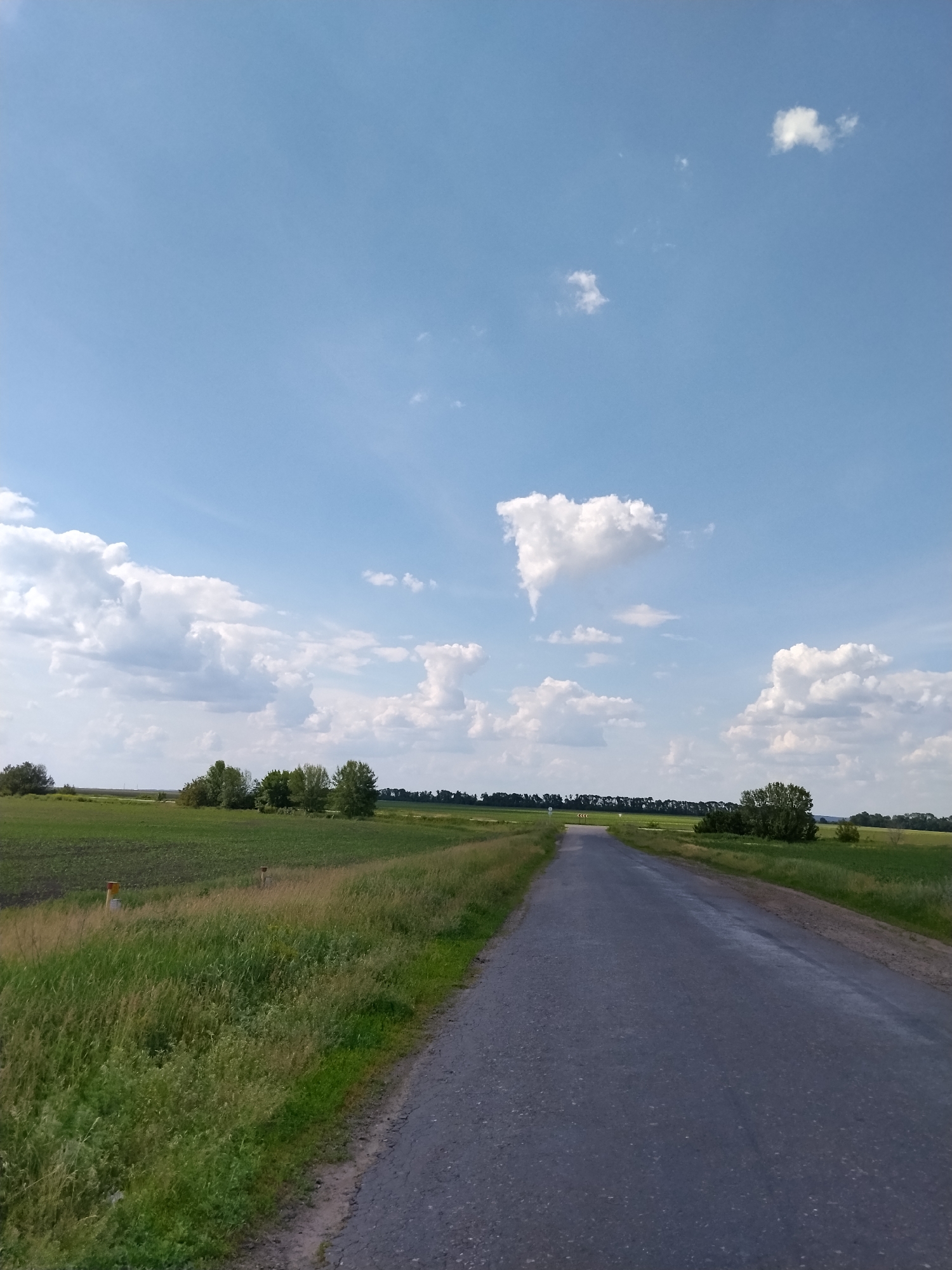 The image displays a rural landscape in Ruda, Ukraine, under a clear blue sky dotted with scattered white cumulus clouds. A two-lane paved road, appearing to be asphalt, extends from the foreground into the background, curving gently to the left in the distance.
The road is bordered on both sides by unkempt verges of green and brownish-yellow grass and weeds. To the left of the road, a cultivated field of green crops is visible, within which two yellow-orange cylindrical markers or posts are present; one closer to the foreground and another further back. A cluster of deciduous trees with green foliage is situated beyond the field on the left horizon.
To the right of the road, similar grassy verges transition into expansive green fields. A distinct cluster of deciduous trees with dense green foliage occupies the mid-ground on the right side. In the far distance, near the road's curve, a yellow chevron road sign, indicating a left turn, is discernible. The overall scene is devoid of human figures, animals, or vehicles. Natural daylight illuminates the entire landscape.