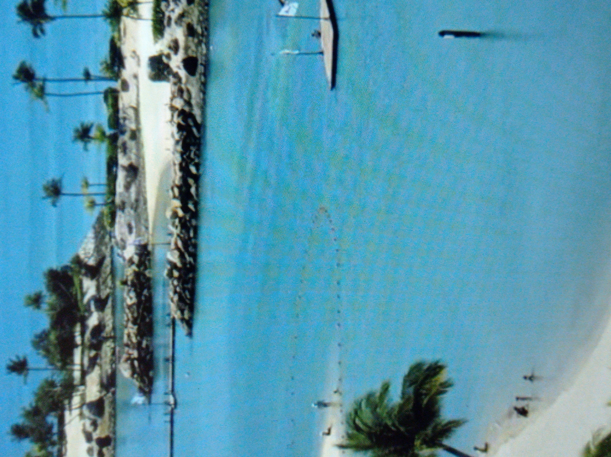 The image depicts a serene coastal scene with calm blue water. In the foreground, a sandy beach is visible with a few people wading in the shallow water. A prominent palm tree shades a portion of the beach. Further out in the water, a small wooden platform with two flags and a person standing on it is present. The background shows a rocky shoreline dotted with palm trees and lush green vegetation. The sky is a clear, bright blue. There are no identifiable landmarks or features that would indicate this scene is located in the city of Mukachevo, Ukraine.