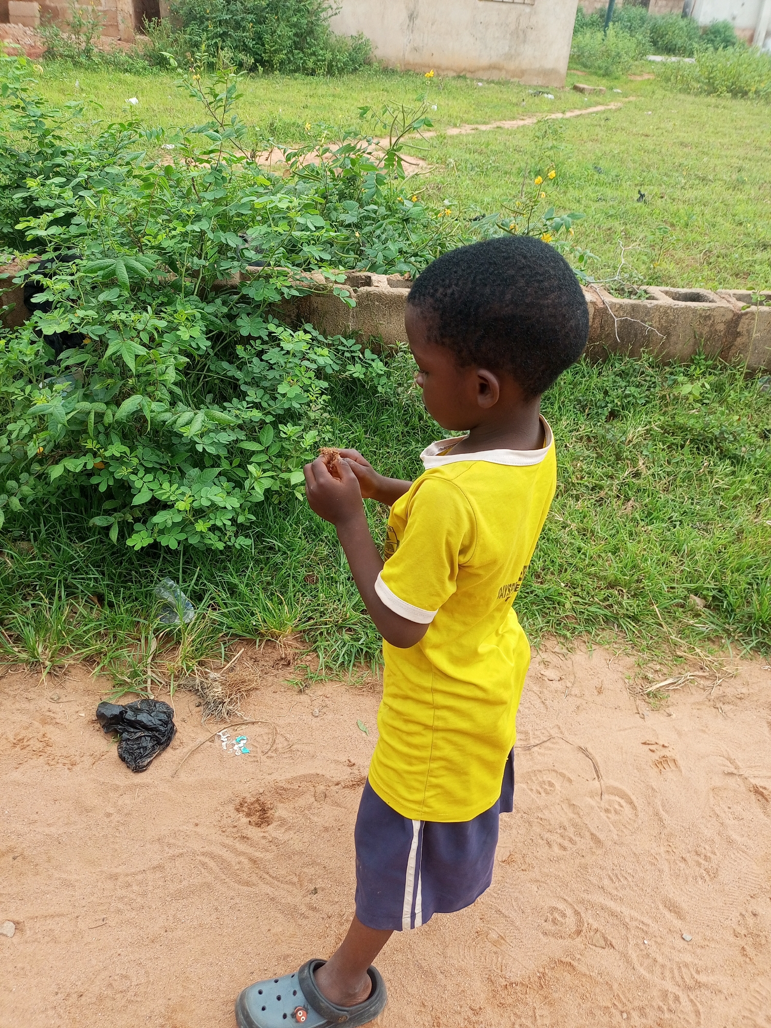 A young child, likely of Nigerian descent, stands outdoors in a dirt area near a grassy patch and dense green foliage. The child, wearing a bright yellow t-shirt and dark blue shorts with white stripes, is seen holding a small object in their hands, which they appear to be examining. The environment suggests a rural or suburban setting within Tempure, Nigeria, possibly a residential area, given the presence of a partially visible building in the background and a low brick wall. The ground is covered in sand and scattered with a black plastic bag and some small white objects. The lighting indicates it is daytime.