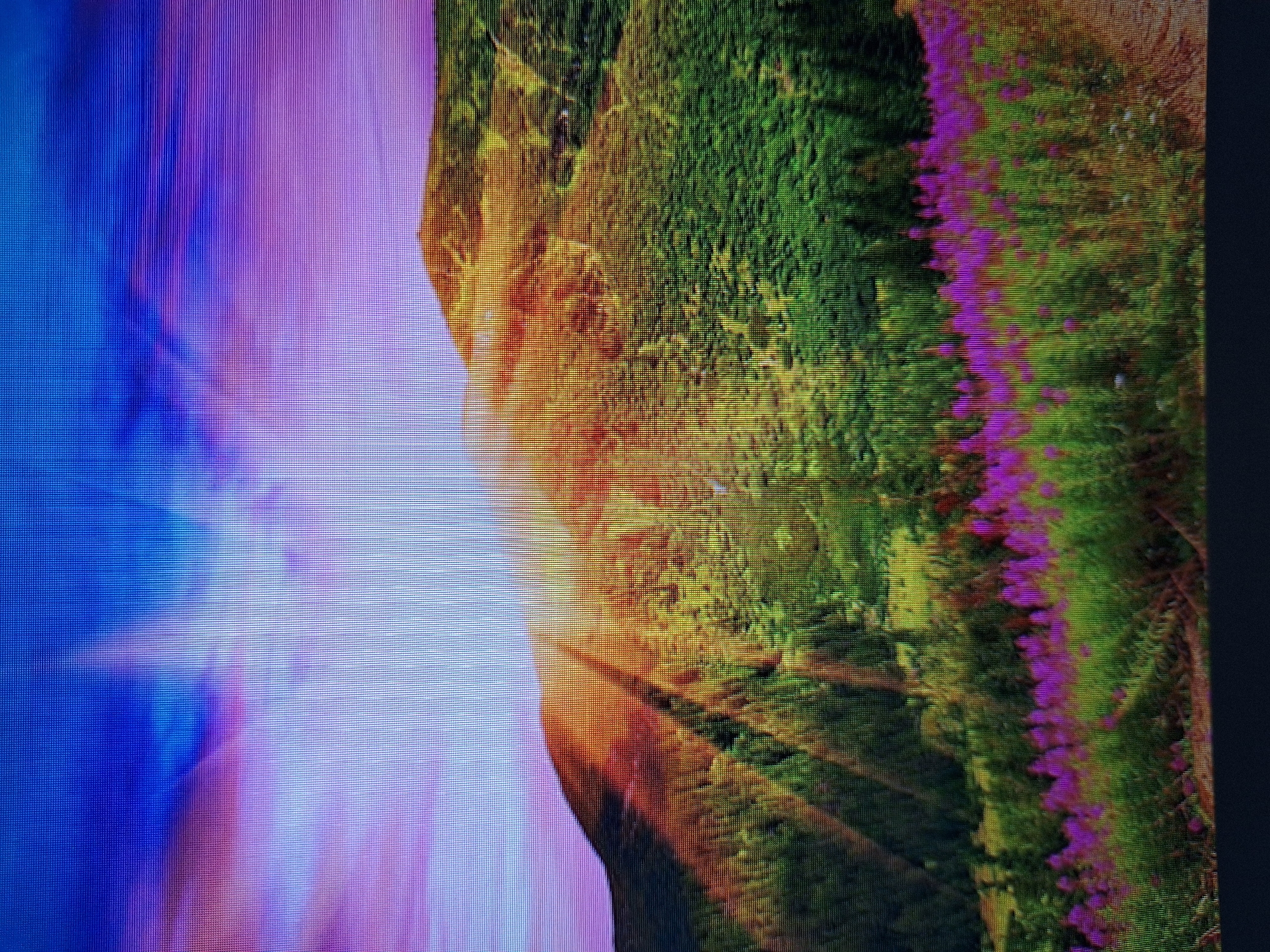 The image depicts a vibrant, digitally enhanced landscape with a prominent sunburst effect illuminating a mountainous terrain. The sky transitions from deep blue at the top to shades of purple and pink near the horizon, with rays of light emanating from a bright central point. Lush green hills, covered in dense vegetation and trees, dominate the middle ground. A field of purple wildflowers is visible in the foreground. The image has a noticeable pixelated quality, suggesting it is a digital rendering or a photograph of a screen. There are no people, structures, or specific landmarks indicative of Varna, Bulgaria, or any other urban location. The scene is purely natural and appears to be a stylized artistic representation rather than a documentary photograph.