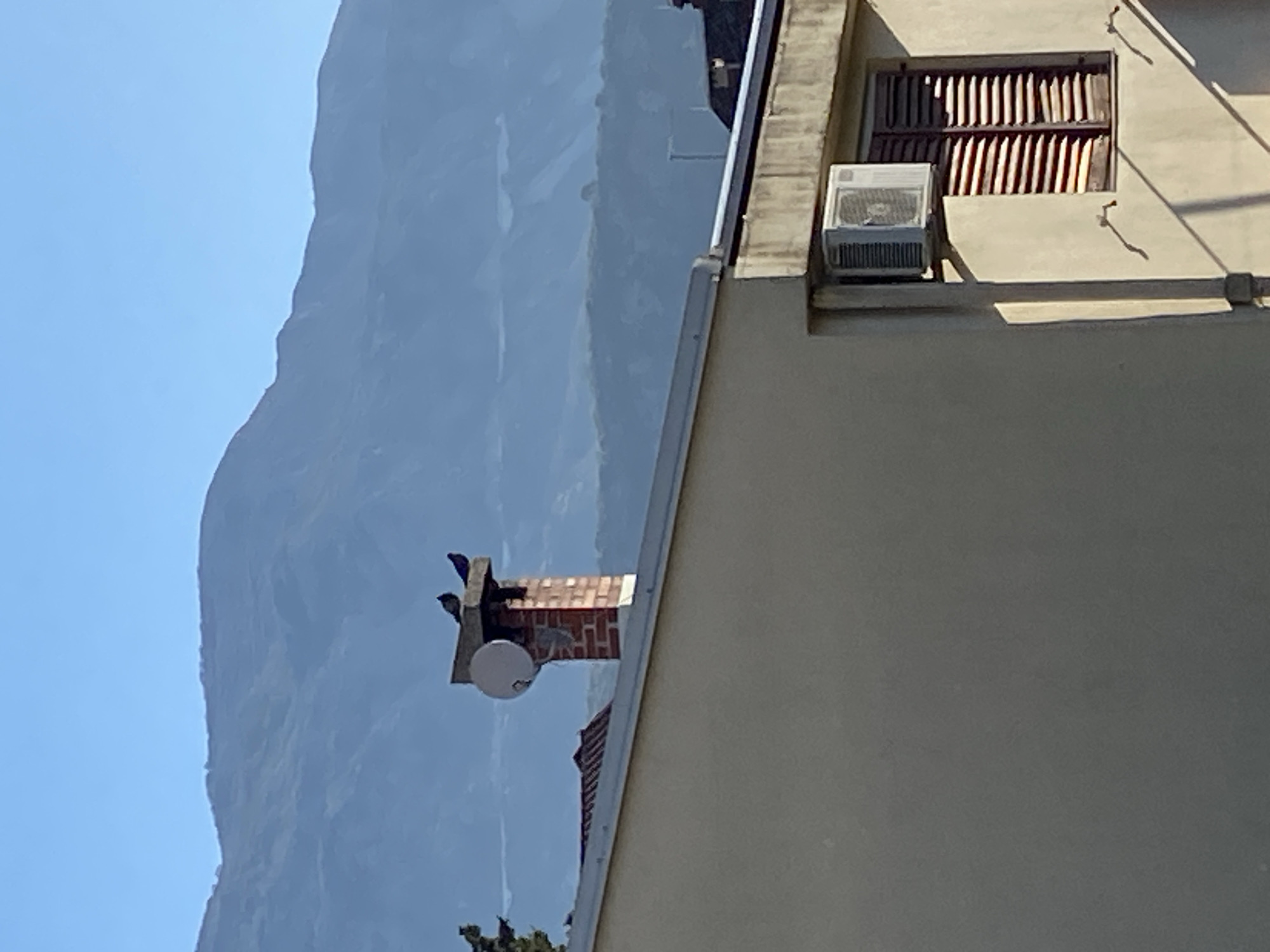 A medium shot captures a building adjacent to a mountain. The building is painted off-white and features a window with wooden louvers and an air conditioning unit. Atop another section of the building, there is a brick chimney with a satellite dish attached. Two birds are perched on the chimney. The mountain looms in the background against a clear blue sky. This appears to be in Budva, Montenegro.