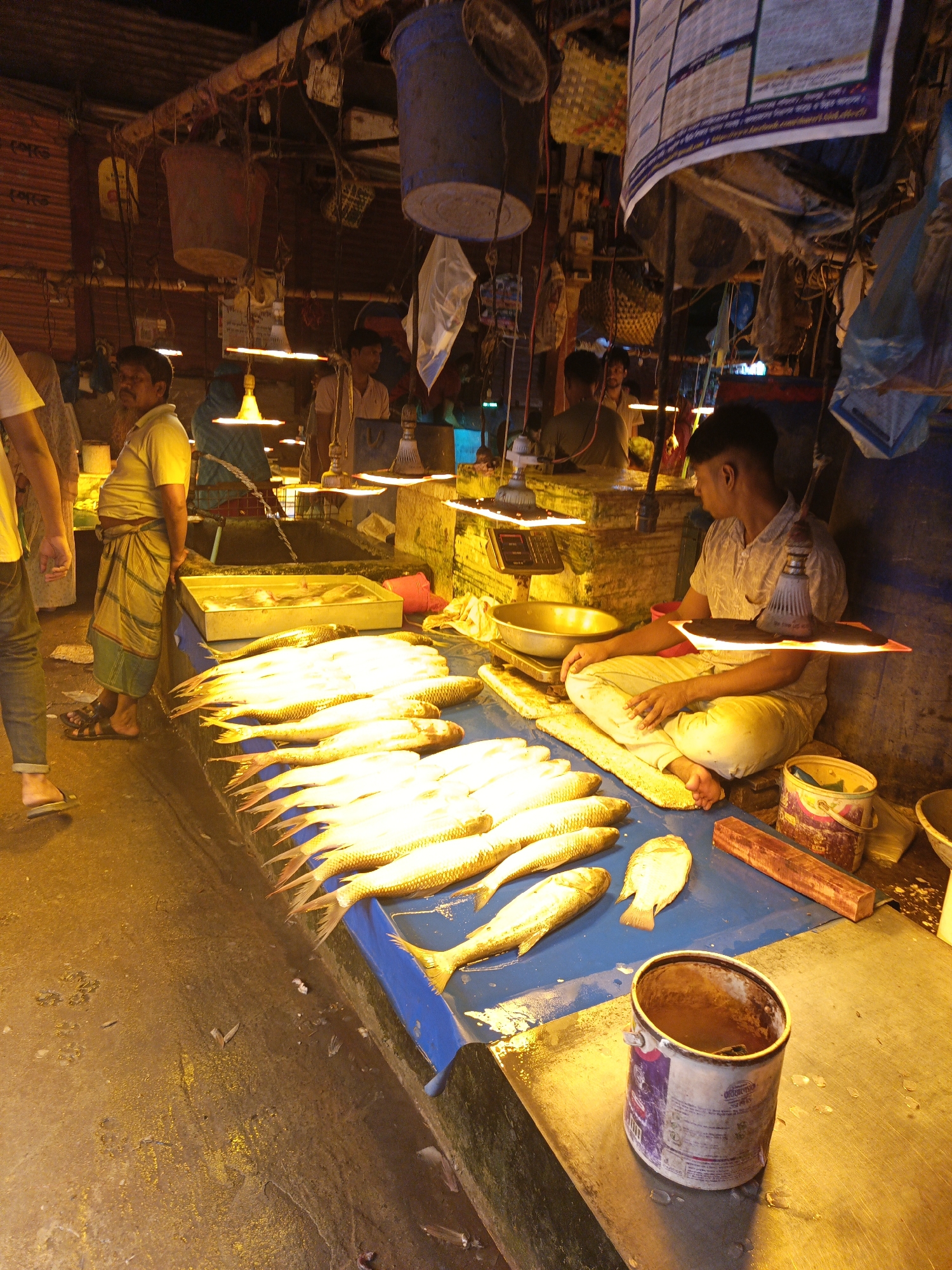 This image depicts a bustling fish market scene, characteristic of Dhaka, Bangladesh. The setting is a covered or indoor market stall, heavily reliant on artificial, warm yellow lighting that casts a distinct golden hue over the entire area, suggesting either early morning, evening, or an enclosed space.
The primary subjects are several men and a large display of fresh fish. Rows of silvery-golden fish, likely Hilsa, a popular species in Bangladesh, are meticulously arranged on a blue tarp covering a market counter. On the left, a man in a yellow shirt and a traditional lungi stands beside a metal basin, possibly for washing or storing fish, with water appearing to flow into it. Another man, wearing a light-patterned shirt, sits cross-legged on the right side of the frame, attending to the fish display. Next to him, a weighing scale with a brass bowl is visible, indicating the process of selling fish. Other figures are discernible in the background, moving through the market.
Notable details include the utilitarian nature of the market. Buckets and woven baskets hang from the ceiling, amidst a tangle of wires and exposed corrugated metal sheets. Several bare LED bulbs, some with makeshift reflectors, provide direct illumination to the stalls. The floor appears wet, a common sight in fish markets. On the upper right, a large sheet of paper with visible Bengali text is hanging, likely a price list or market notice. Faint Bengali script is also visible on a repurposed paint can on the counter. The atmosphere is one of commerce and daily routine, with no strong emotions evident, just vendors and patrons engaged in the marketplace.