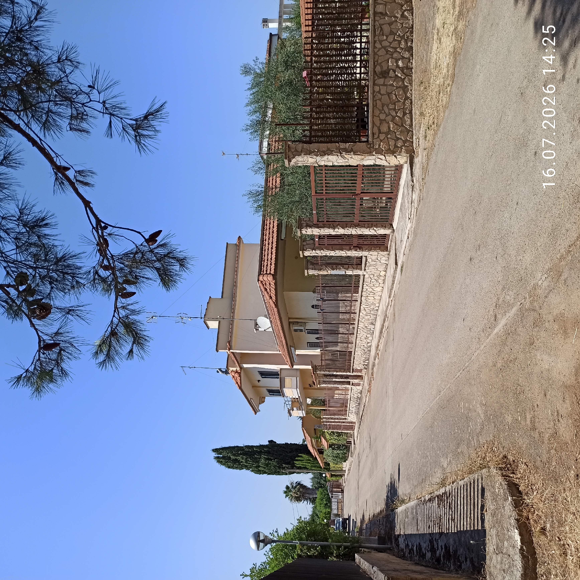 The image captures a street scene in Grumo Appula, Italy, on a clear, sunny day. The perspective is from the middle of an asphalt road, looking towards a residential area. On the right side of the road, a light-colored house with a red-tiled roof is visible, bordered by a stone wall and a metal fence. The house has balconies and windows, and several television antennas are present on its roof. Adjacent to this property, another house with similar architectural features is partially visible.
On the left side of the road, a dark-colored fence runs along the sidewalk, which includes a concrete drainage grate. Further down the road, a lamppost with a spherical light fixture stands next to the fence. In the distance, a very tall, slender cypress tree is prominent, along with other trees and vegetation, including a palm tree. The sky is a clear, bright blue, with pine branches and cones visible in the upper portion of the frame. The bottom right corner of the image displays a date and time stamp: "16.07.2026 14:25". The overall impression is one of a quiet, suburban street in a warm climate.