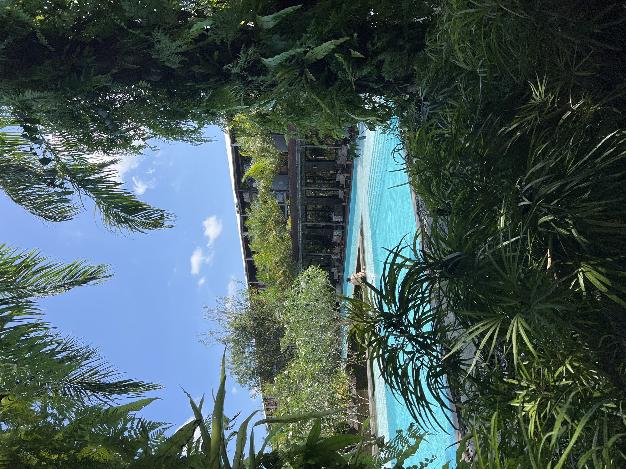 A scene in Petulu, Indonesia shows a partially obscured view of a swimming pool and a multi-story building, framed by dense, lush vegetation. The pool's turquoise water contrasts with the surrounding greenery. A person stands near the edge of the pool. The building features a series of balconies or terraces with visible furniture, suggesting a resort or residential complex. The sky above is blue with scattered clouds. Tropical plants dominate the foreground, creating a natural border around the view.