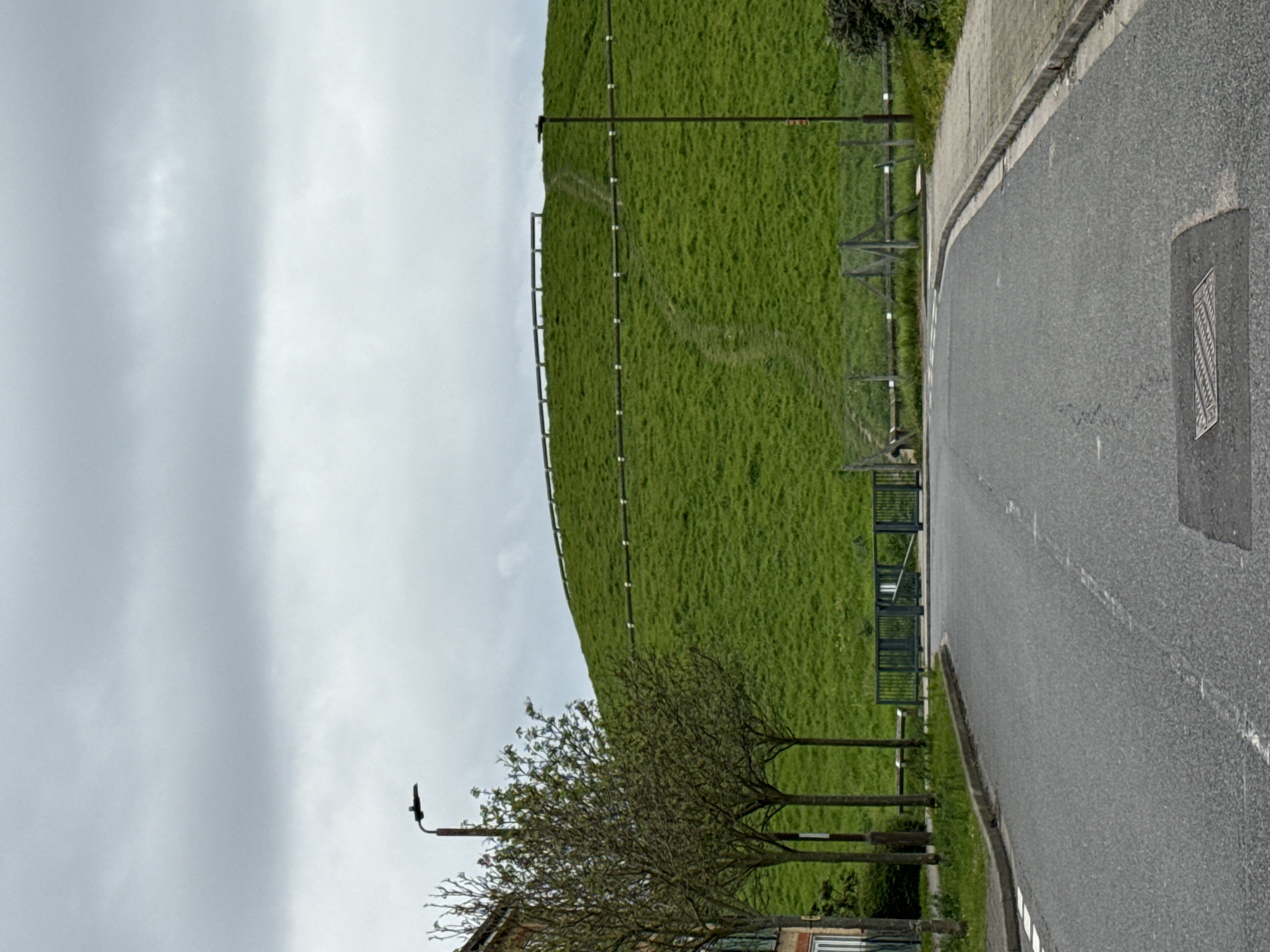 The image shows a green hill adjacent to a road, possibly a man-made mound. A fence runs along the lower part of the hill, with a pathway visible leading upwards. The road is paved, with a manhole cover visible. A street lamp and trees are situated along the road. The sky is overcast. It is likely the area is in London.