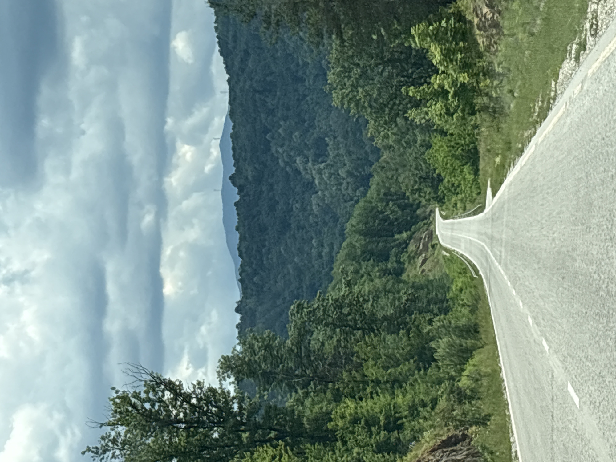 The image depicts a winding asphalt road leading through a lush, forested mountain landscape. The road is bordered by green vegetation and trees, with a steep embankment on the left side. In the distance, rolling hills covered in dense forest stretch towards the horizon, where a faint outline of mountains is visible against a cloudy sky. The sky is filled with dramatic, dark gray clouds, suggesting an overcast or potentially stormy day. There are no people or animals visible in the scene. The environment suggests a remote, natural setting, possibly in a mountainous region of Bulgaria, given the reference to Gabrovo. The overall atmosphere is one of solitude and the grandeur of nature.