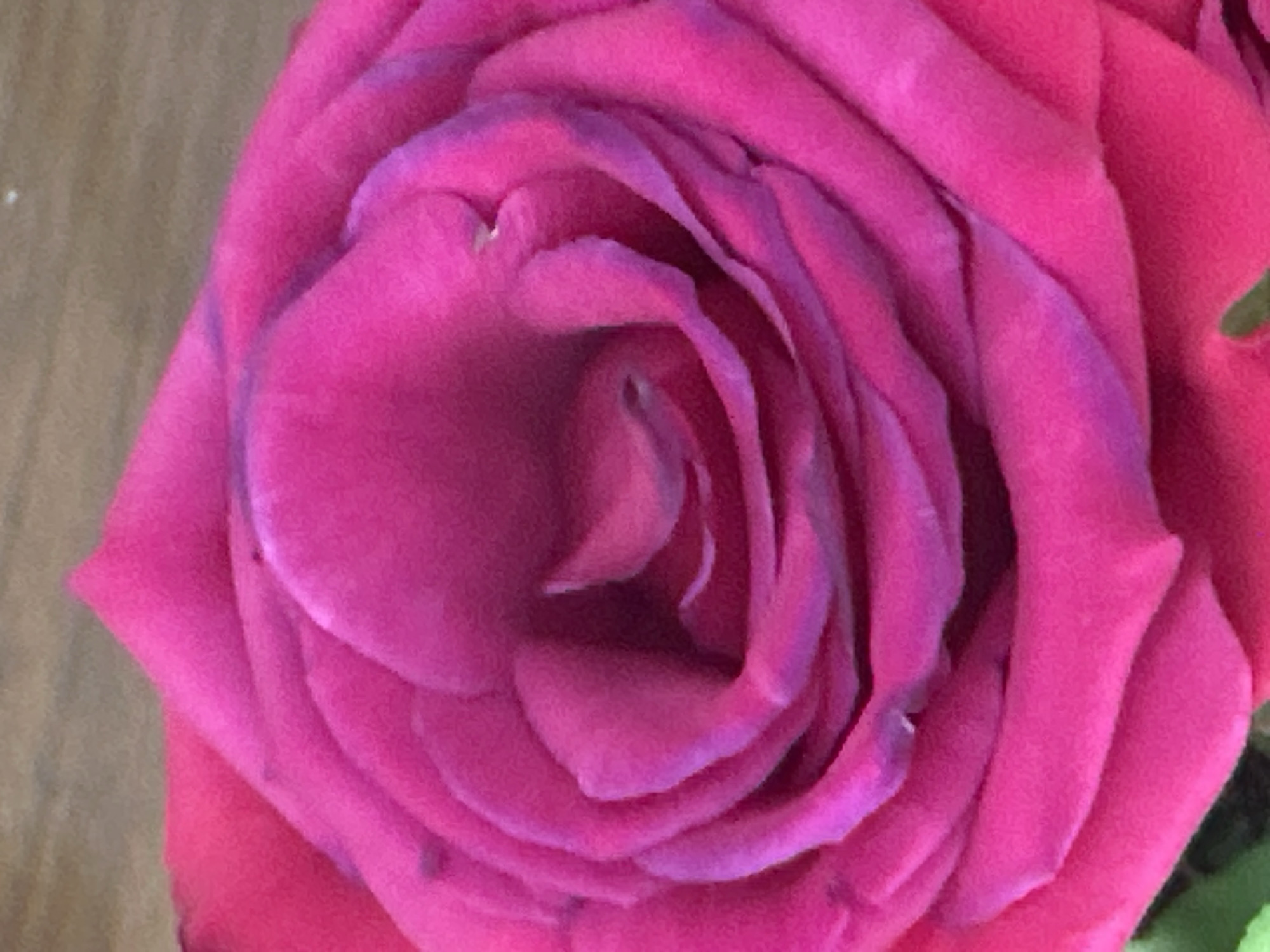A close-up photograph showcases a vibrant pink rose in full bloom. The image focuses on the intricate layers of petals, which are densely packed and swirled towards the center of the flower. The petals exhibit varying shades of pink, some with a slightly purplish hue, and are detailed with soft textures and subtle variations in tone. The background is out of focus, but suggests a wooden surface on the left side. The presence of a green stem or leaves can be seen in the lower right. No information in the image relates to the city of Amsterdam, Netherlands.