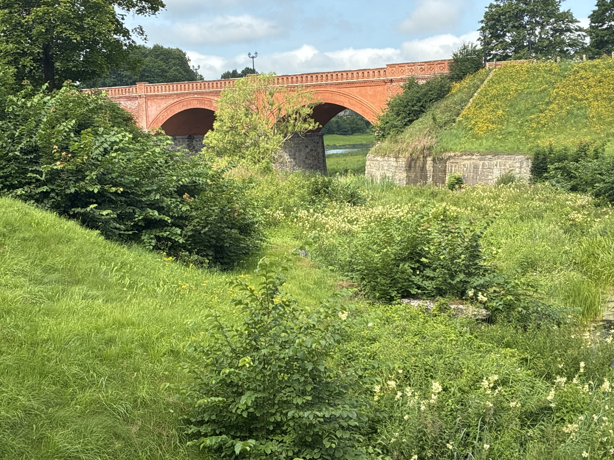 This image shows the Kuldīga Brick Bridge, a historic structure in Kuldīga, Latvia. The bridge is made of red brick and has multiple arched spans. It is surrounded by lush green vegetation, including trees, bushes, and grass. There is a slight embankment on the right side of the bridge, covered in grass and dotted with yellow wildflowers. In the background, a body of water, likely the Venta River, is visible through one of the bridge arches. The sky is partly cloudy with a few patches of blue. The scene appears to be a natural landscape with a man-made structure integrated into it. There are no people visible in the image.