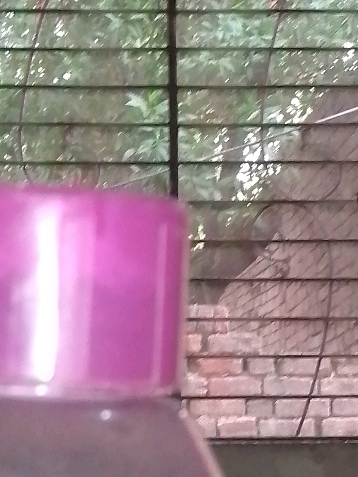 A pink plastic bottle cap is in the foreground, partially obscuring a background of horizontal blinds through which green foliage is visible. Behind the blinds, a brick wall is discernible. The scene appears to be outdoors, possibly a window view from a building in Depalpur, Pakistan.