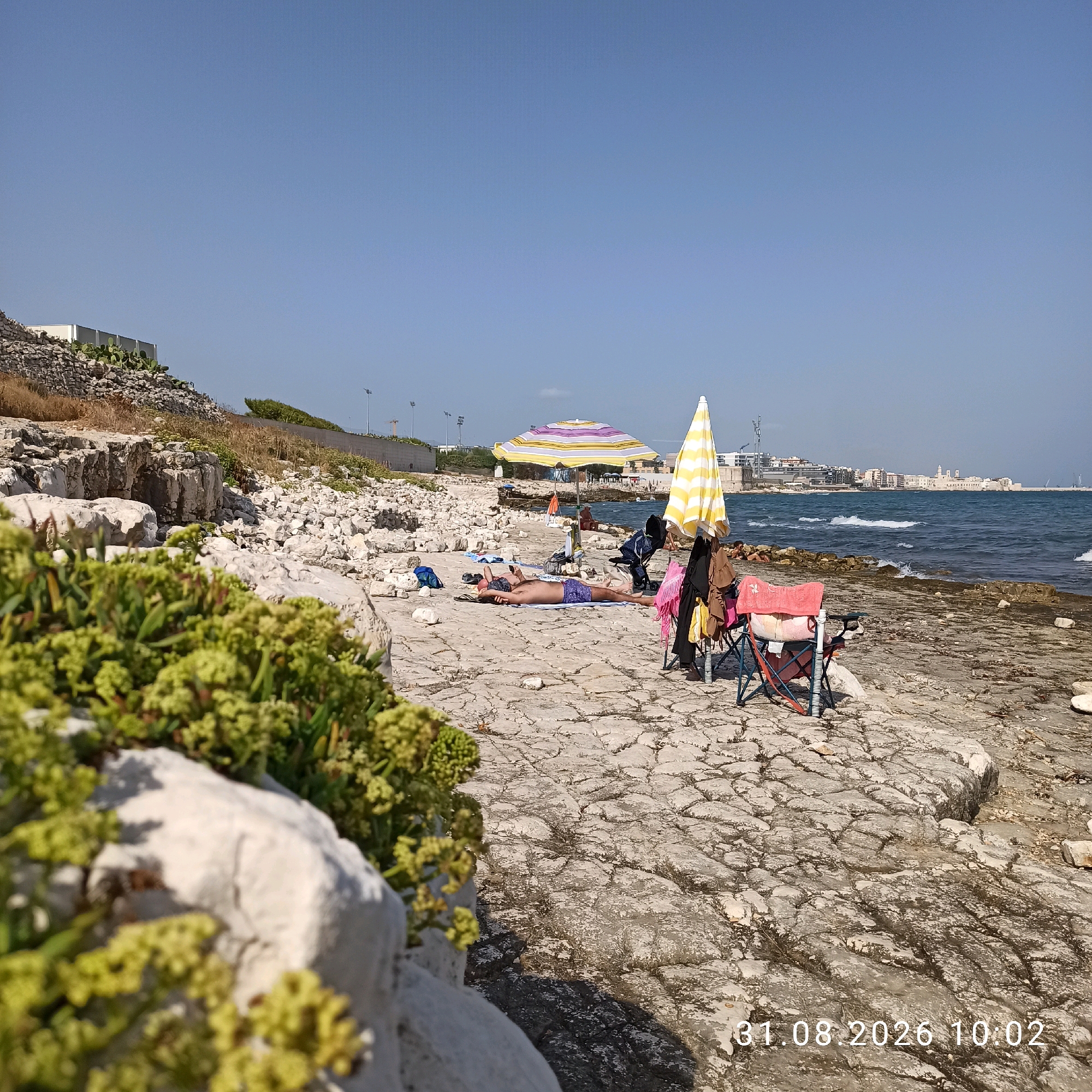 The image captures a sunny day at a rocky beach in Molfetta, Italy. In the foreground, lush green vegetation grows around large, light-colored rocks. The middle ground features a man lying on his back on a towel, sunbathing. He is wearing purple swim trunks and appears relaxed. Two beach umbrellas, one with yellow and white stripes and another with yellow, purple, and white stripes, provide shade. Several folding chairs are set up, one of which has towels and clothing draped over it. The background shows the clear blue sea with gentle waves and a distant cityscape of Molfetta, characterized by buildings and church spires. The shoreline is composed of rough, grey rocks. The overall scene depicts a serene beach environment with people enjoying the summer weather.