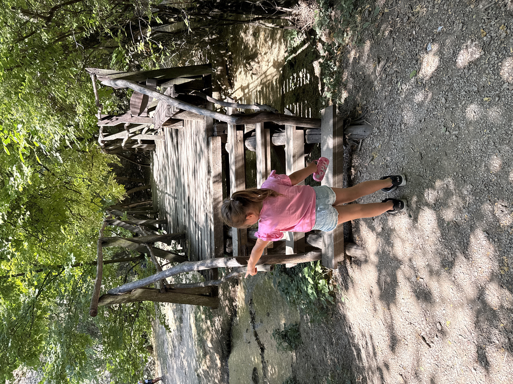 In the village of Hotnitsa, Bulgaria, a young girl with blonde hair in a ponytail, wearing a pink t-shirt and denim shorts, stands on a gravel path. She is facing away from the camera, pointing towards a wooden bridge with a railing and steps. The bridge spans a small stream of water that flows through a wooded area. The surrounding environment is lush with green trees, and sunlight filters through the leaves, casting shadows on the ground. The girl is holding a pink object in her left hand.