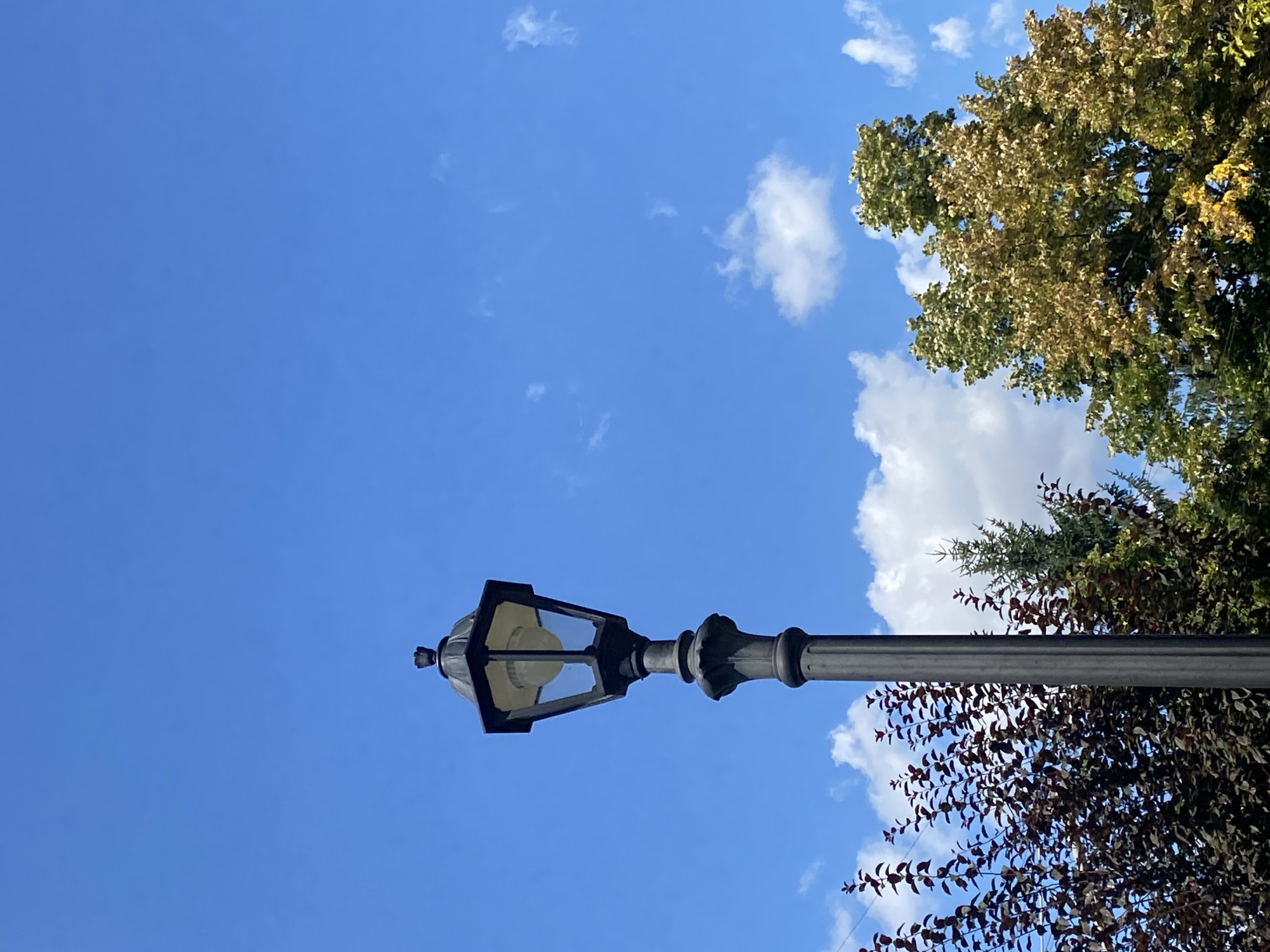A black, ornate lamppost stands on the left side of the frame, silhouetted against a bright blue sky dotted with scattered white clouds. The lamppost has a detailed base and a hexagonal lantern at the top. To the left of the lamppost, a dense tree with dark red leaves is visible. Behind the lamppost and the dark-leaved tree, several other trees are present, with varying shades of green and some with yellowing leaves, suggesting a late summer or early autumn season. The overall scene depicts an outdoor environment with natural elements and a man-made fixture. The image was taken in Chișinău, Moldova.