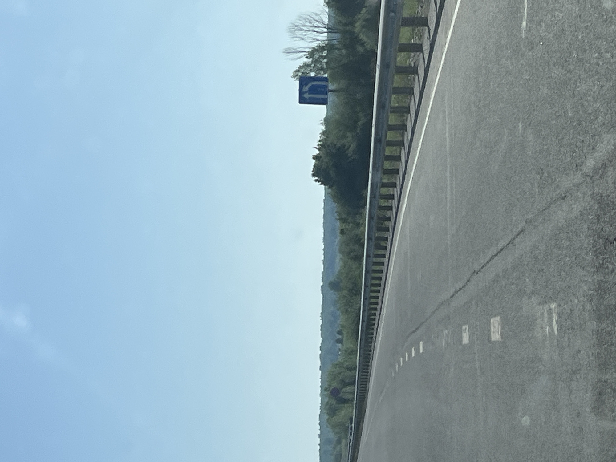 The image shows a highway in Тарасово, Russia. A metal guardrail separates the road from a wooded area. The road surface is gray asphalt with painted white lane markings. A blue road sign is visible beyond the guardrail, partially obscured by trees. The sky is light blue and clear. The photograph appears to have been taken from a moving vehicle.