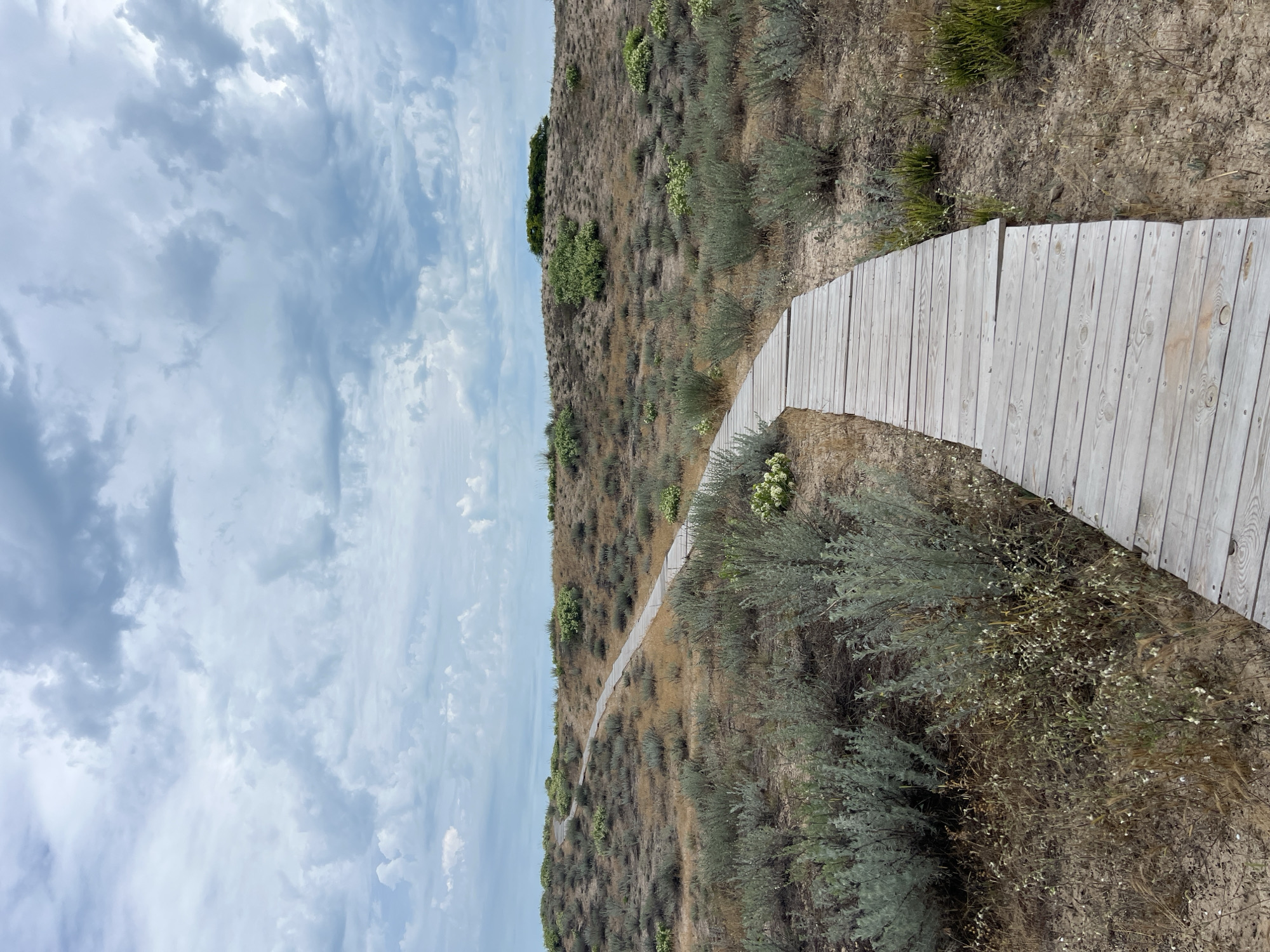 A wooden boardwalk winds through a sandy, dry landscape dotted with low-lying, scrubby bushes and grasses under a cloudy sky. The path is made of weathered gray planks and curves gently uphill, disappearing over a crest. The vegetation is sparse and appears to be adapted to arid conditions. The sky is filled with a mix of light and dark gray clouds, suggesting an overcast or approaching stormy weather. The scene is natural and seemingly undeveloped, characteristic of coastal dune or steppe environments. This area appears to be part of the Bulgarian Black Sea coast, likely in the vicinity of Primorsko, known for its sandy beaches and coastal flora.