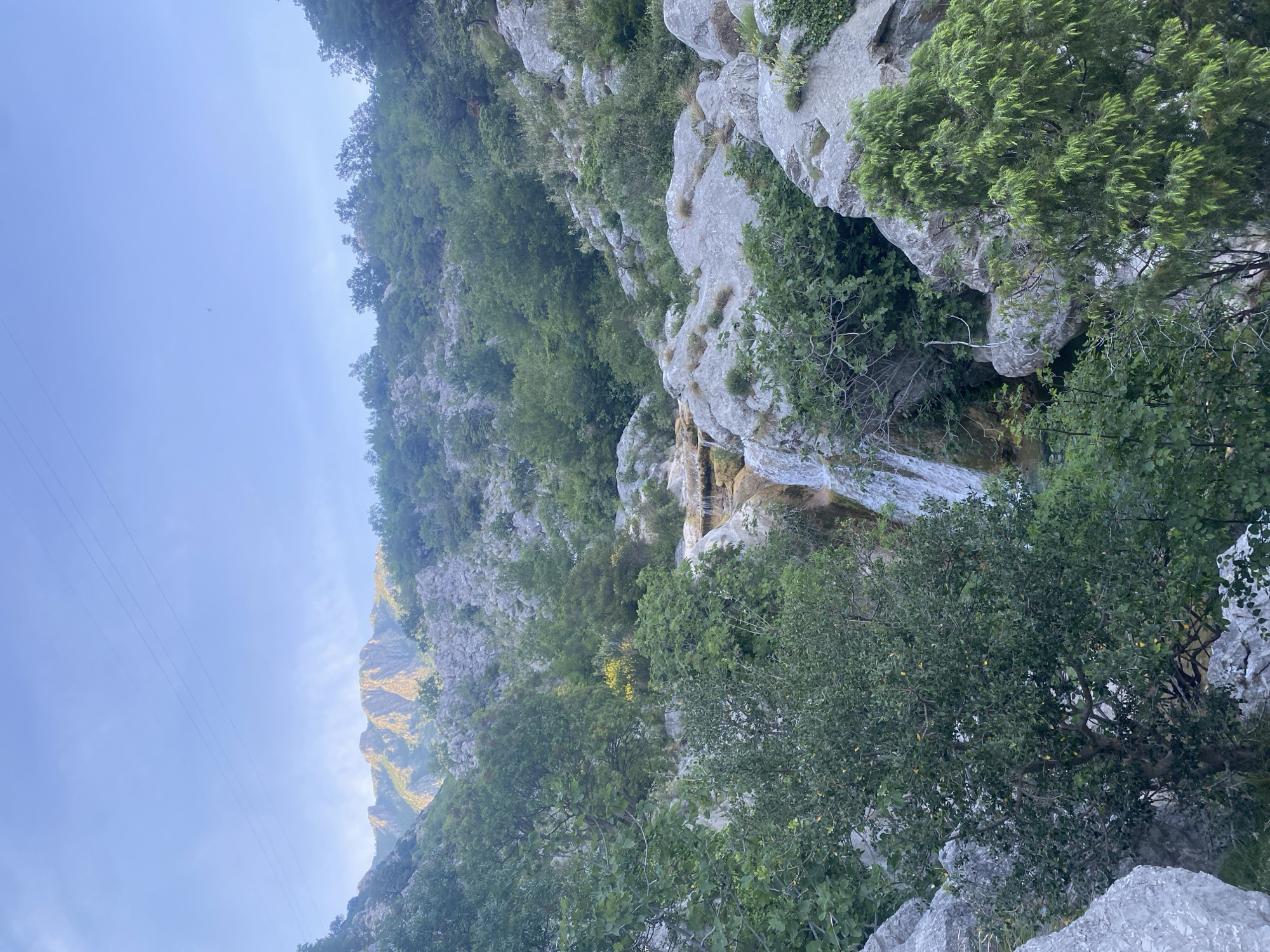 This image, originally in portrait orientation, captures a rugged natural landscape in Zupci, Montenegro. The scene is dominated by a steep, rocky mountainside or canyon. Large, light grey rock formations characterize the terrain, with lush green vegetation, including various trees and shrubs, growing abundantly on the slopes, crevices, and ledges.
In the mid-ground, a small, multi-tiered waterfall or cascade is visible, with water flowing over and between the rocks, creating a bright streak against the darker stone. The surrounding vegetation is dense, particularly in the lower and mid-sections of the image, showcasing a vibrant array of green hues.
The sky, occupying a significant portion of the upper-left area, is a clear, light blue, suggesting fair weather. The sunlight appears to be hitting the landscape from the right, illuminating the tops of some mountains and foliage with a soft, warm glow, while other areas remain in shadow. In the upper-left quadrant, a few power lines are subtly visible against the sky, indicating human presence in the broader area. There is no visible text. The overall impression is one of natural beauty and tranquility within a mountainous environment.